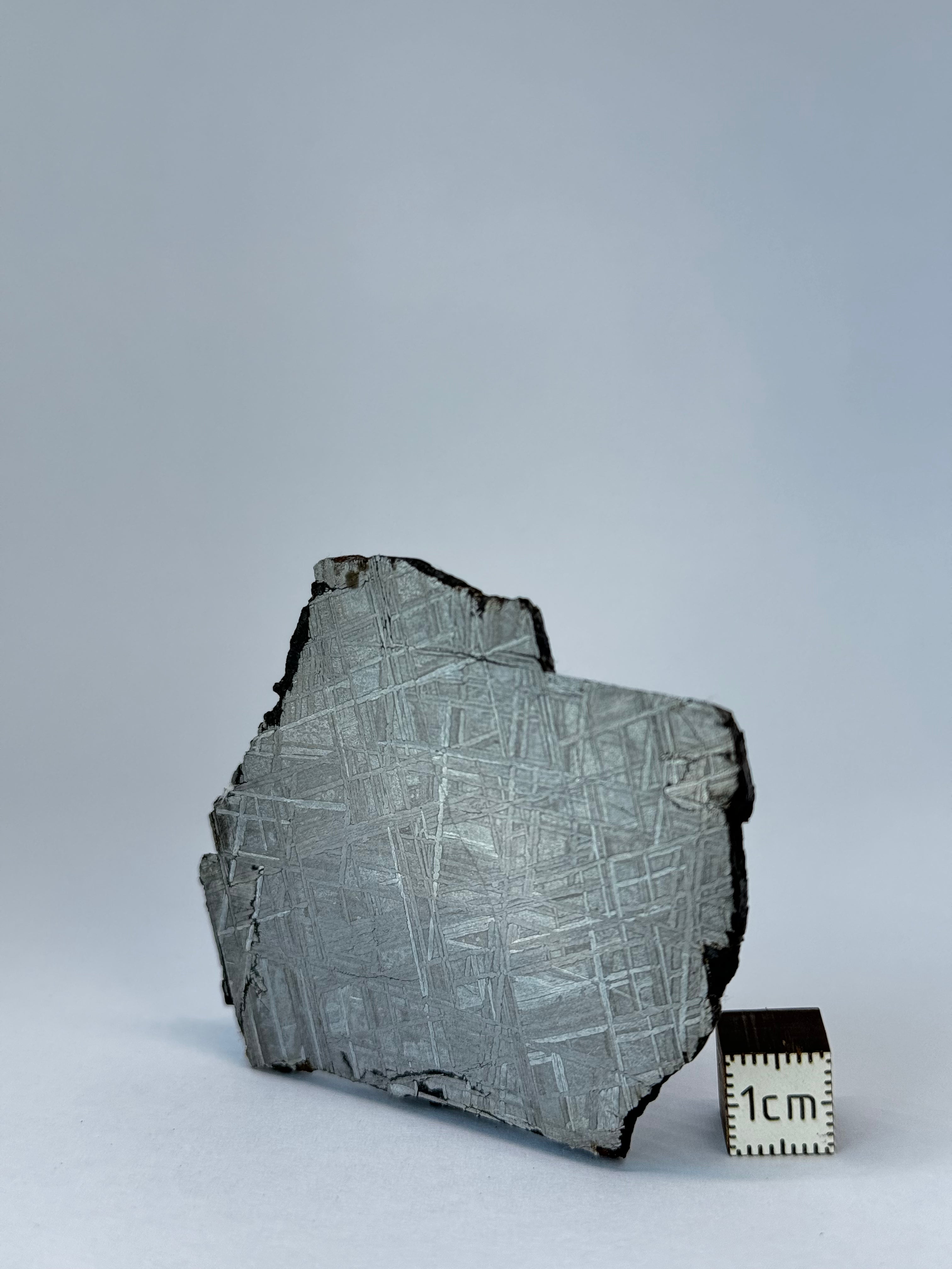 Muonionalusta Meteorite, Sweden. 66,64 grams slice.