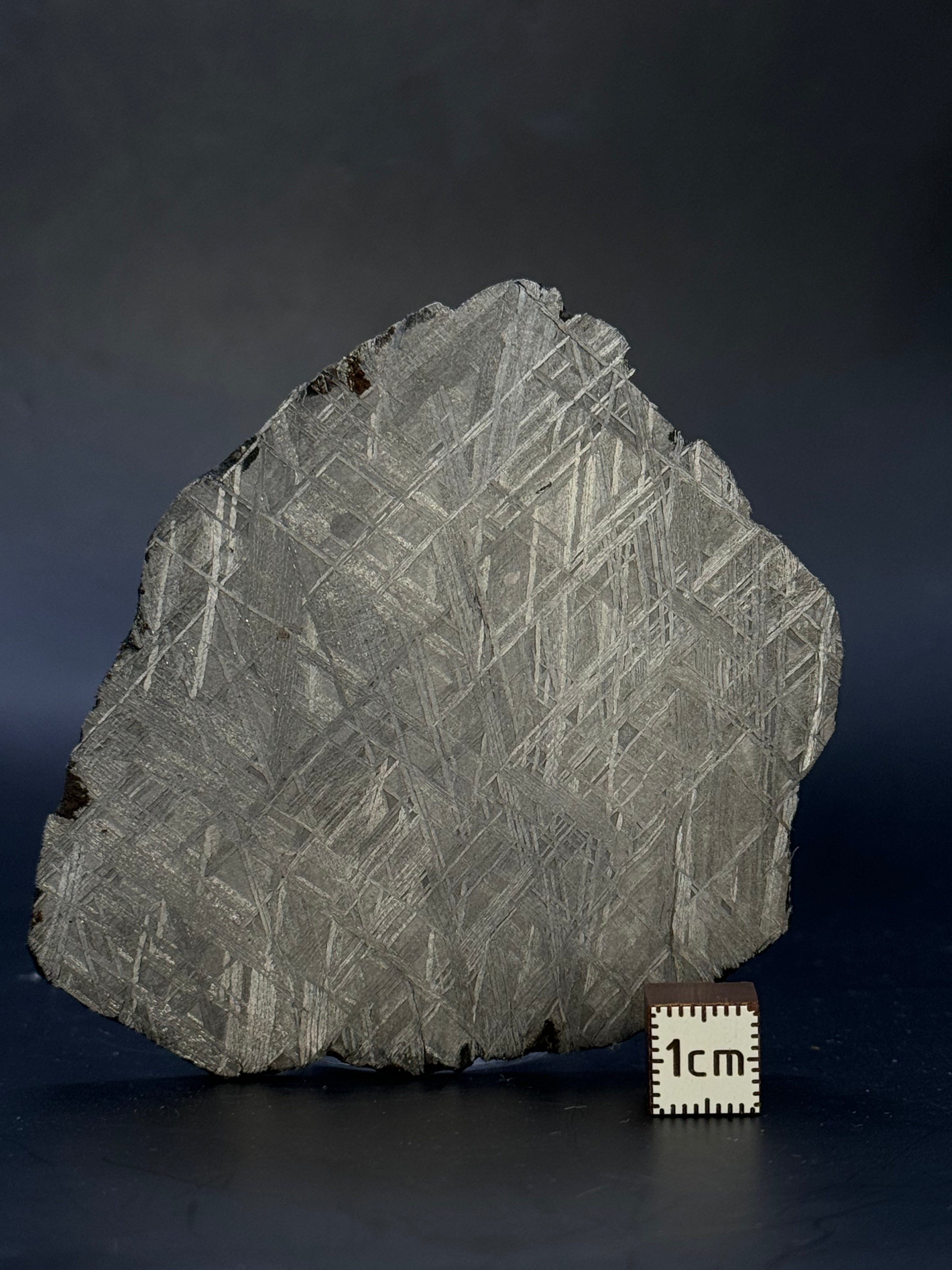 MUONIONALUSTA METEORITE, SWEDEN. 71,06 GRAMS.