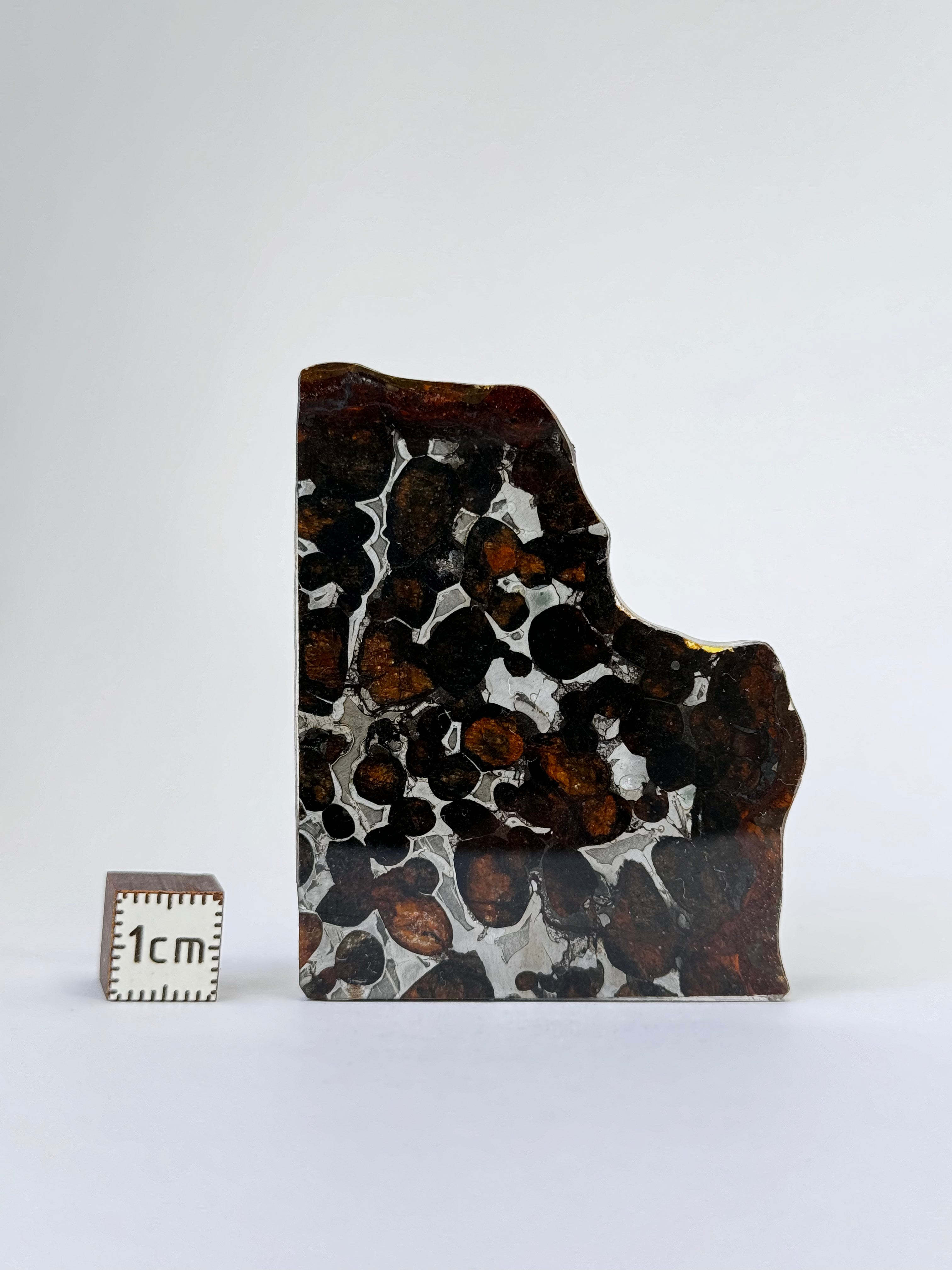 Sericho Meteorite, Kenya. 18,91 grams.