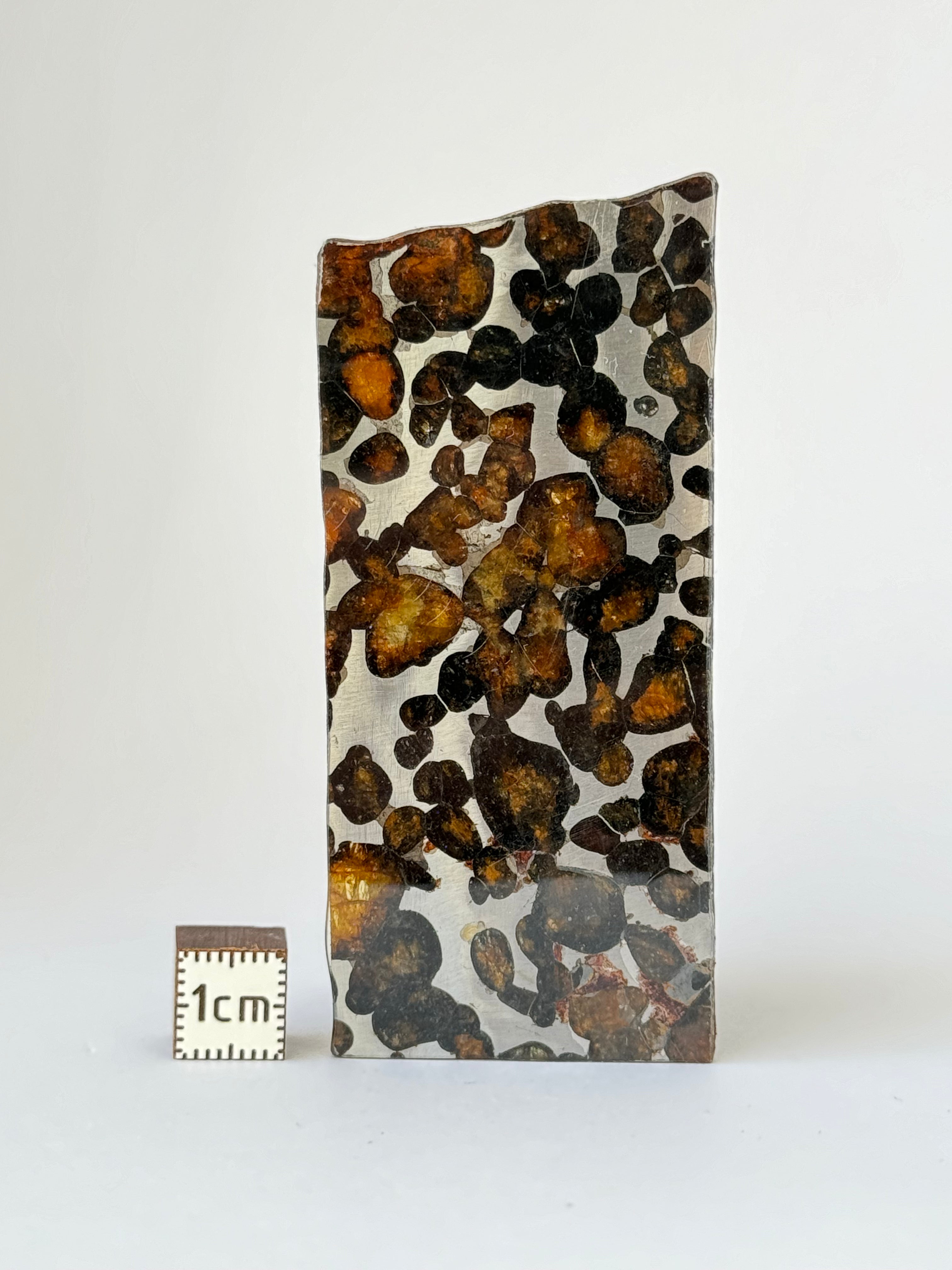 Sericho Meteorite, Kenya. 25,18 grams slice.
