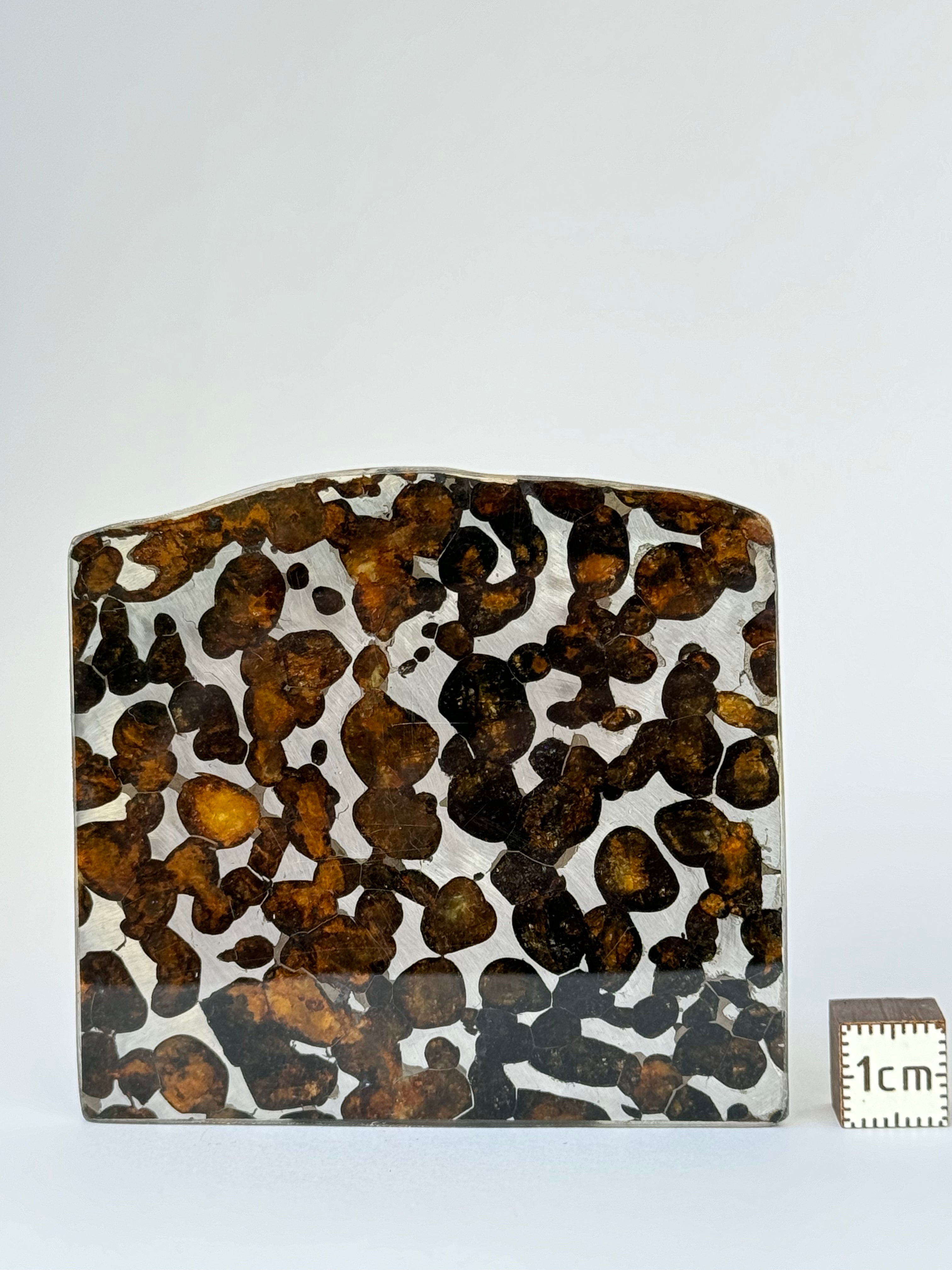 Sericho Meteorite, Kenya. 30,15 grams.