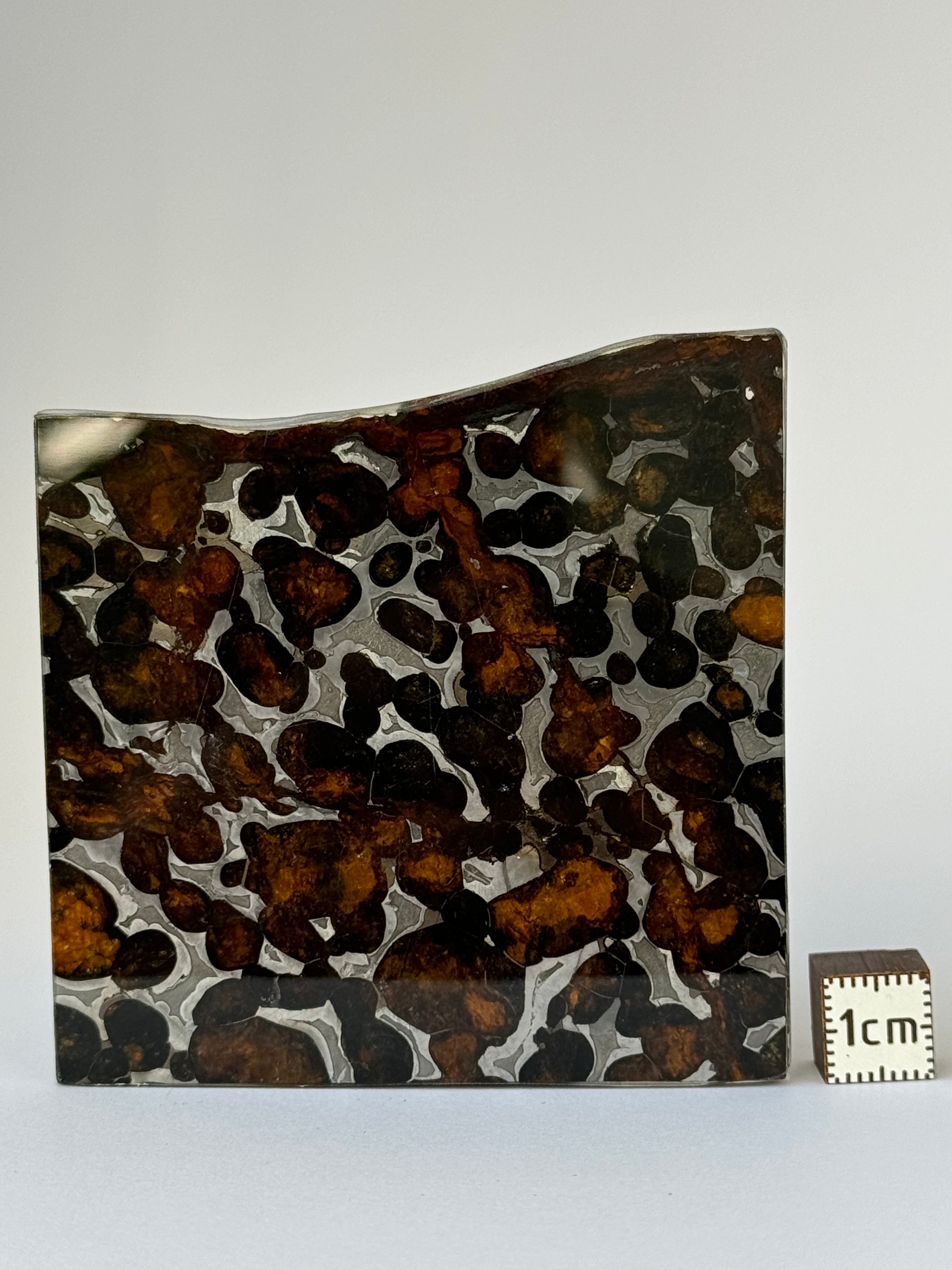 Sericho Meteorite, Kenya. 31,03 grams.
