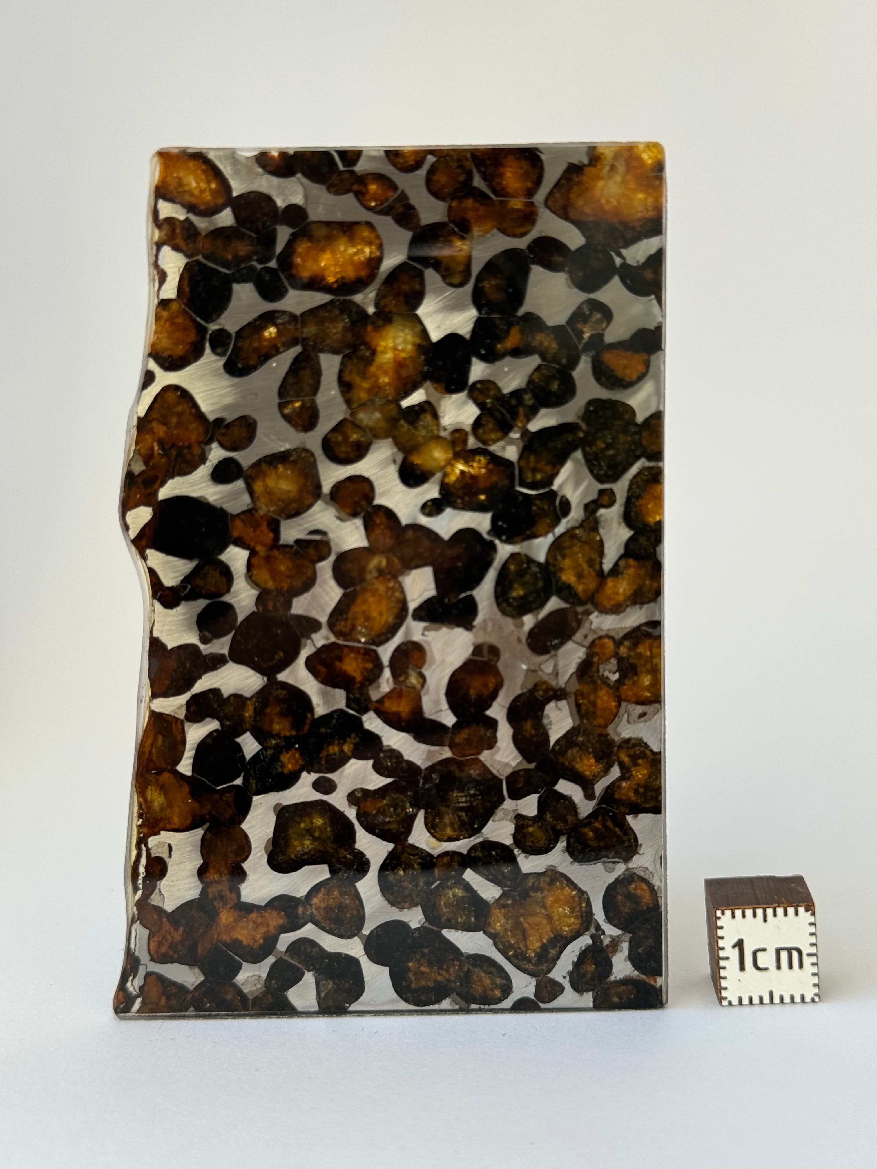 Sericho Meteorite, Kenya. 35,50 grams.