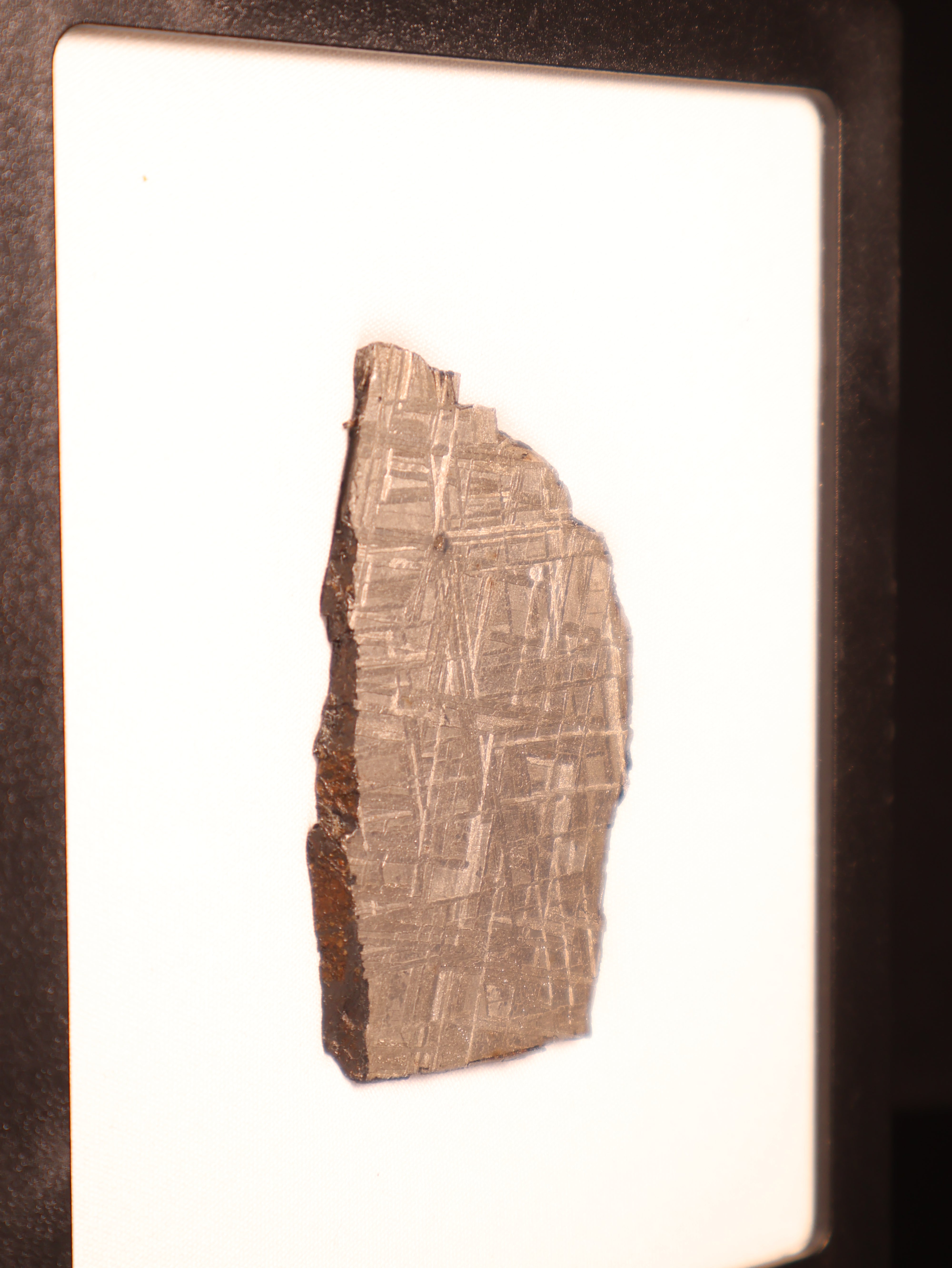 Muonionalusta Meteorite, Sweden. 56.13 grams slice.