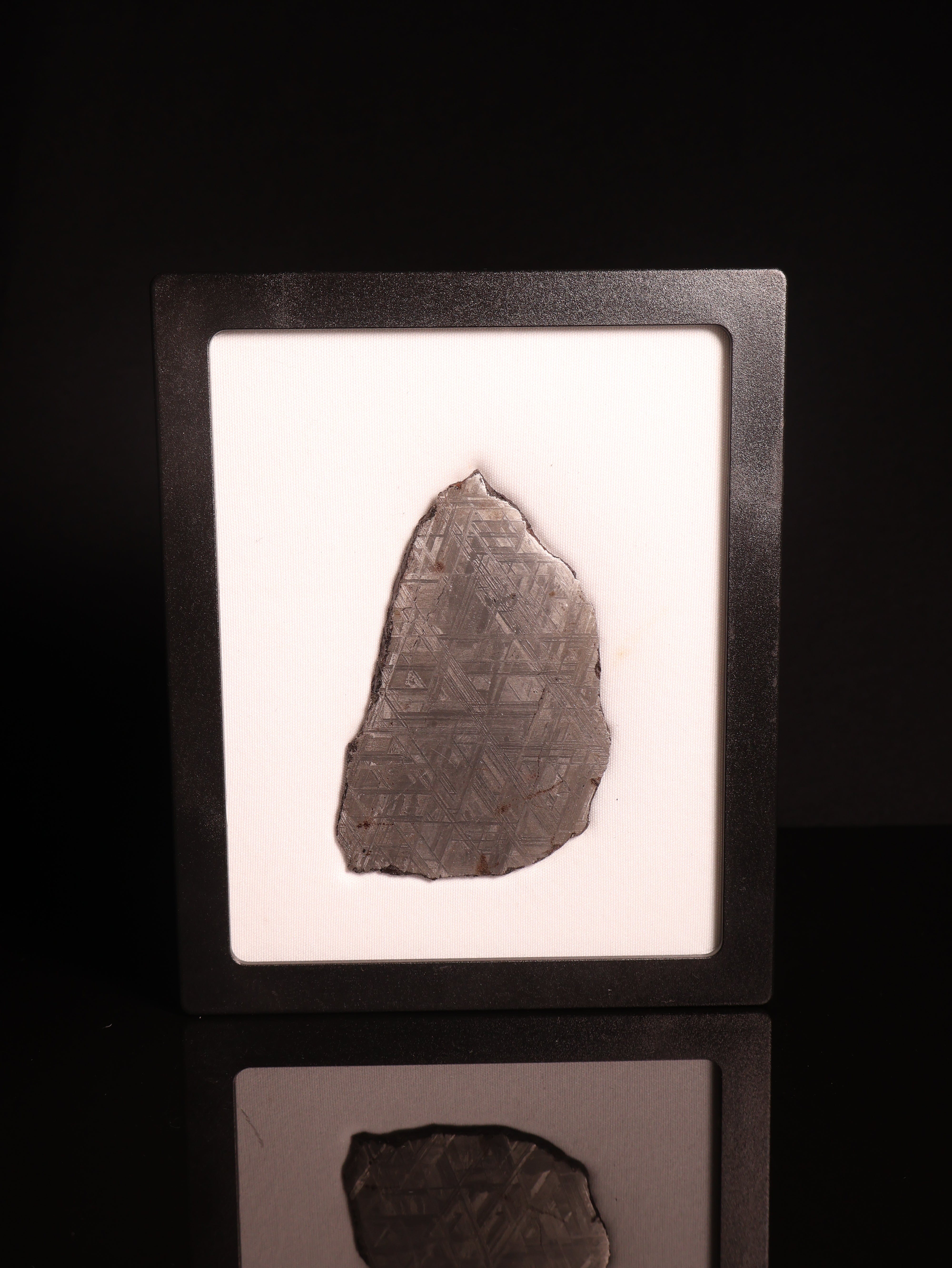 Muonionalusta Meteorite, Sweden.  77,2 grams.
