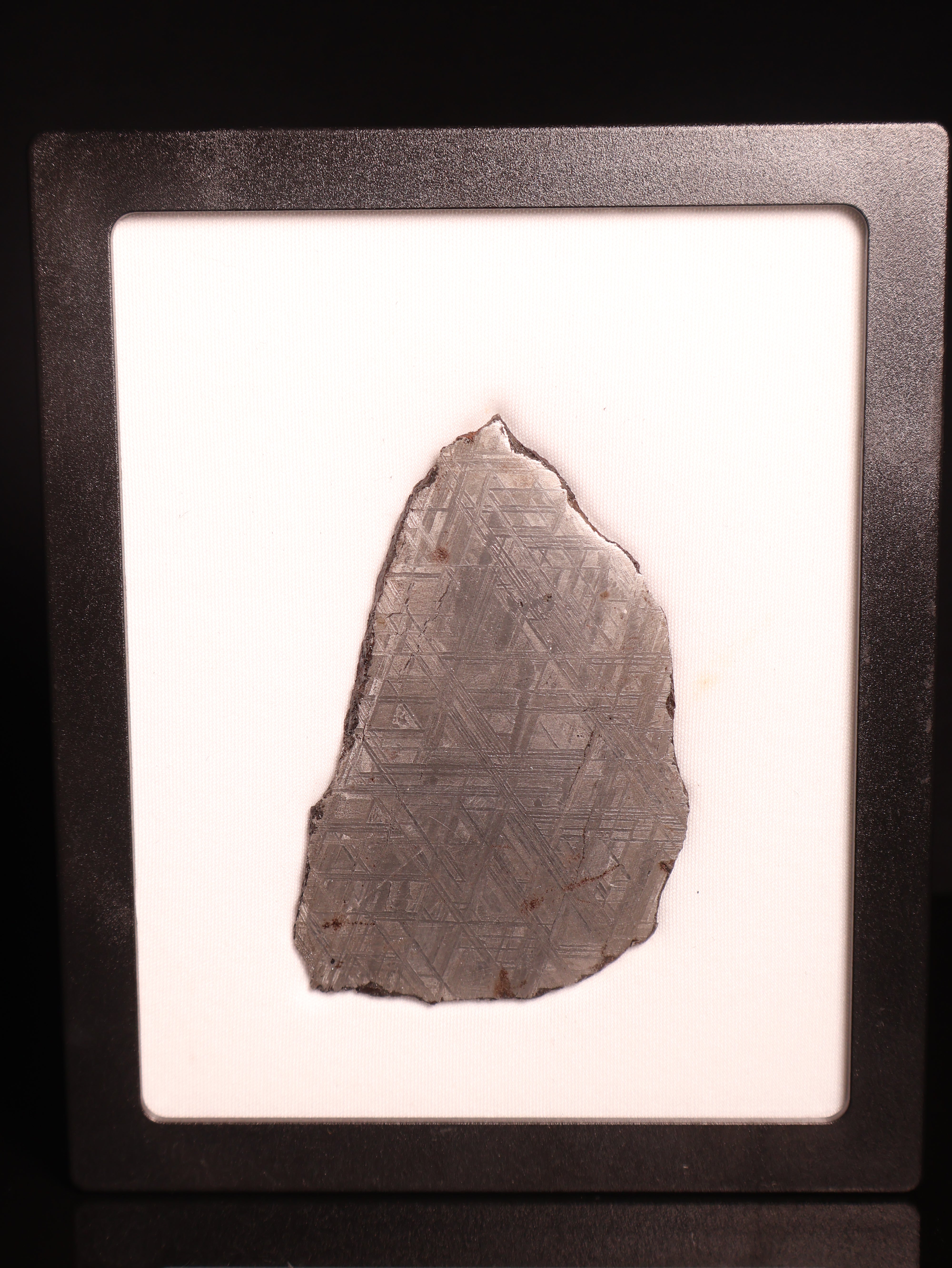Muonionalusta Meteorite, Sweden.  77,2 grams.