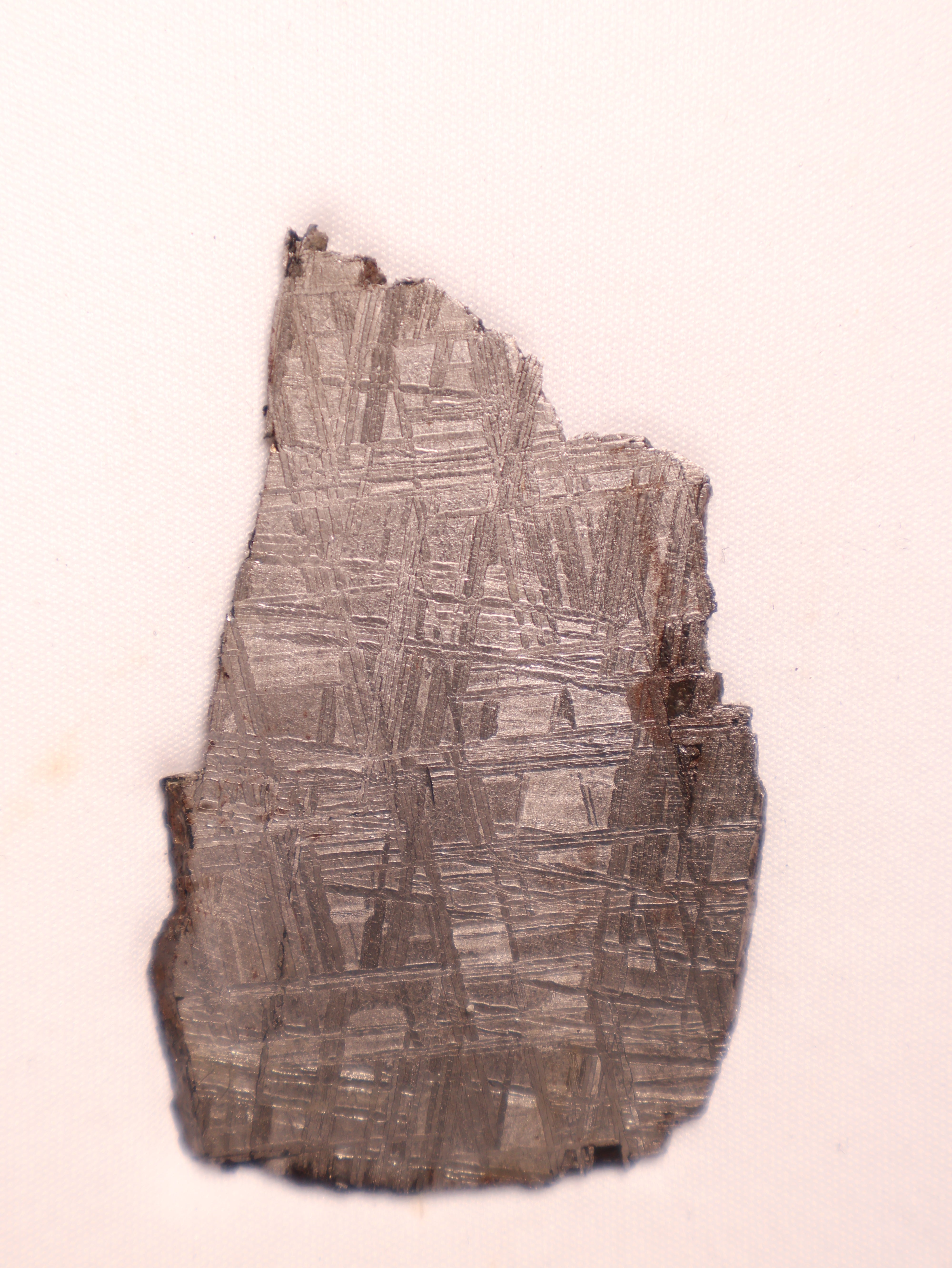 MUONIONALUSTA METEORITE, SWEDEN. 40.62 GRAMS.