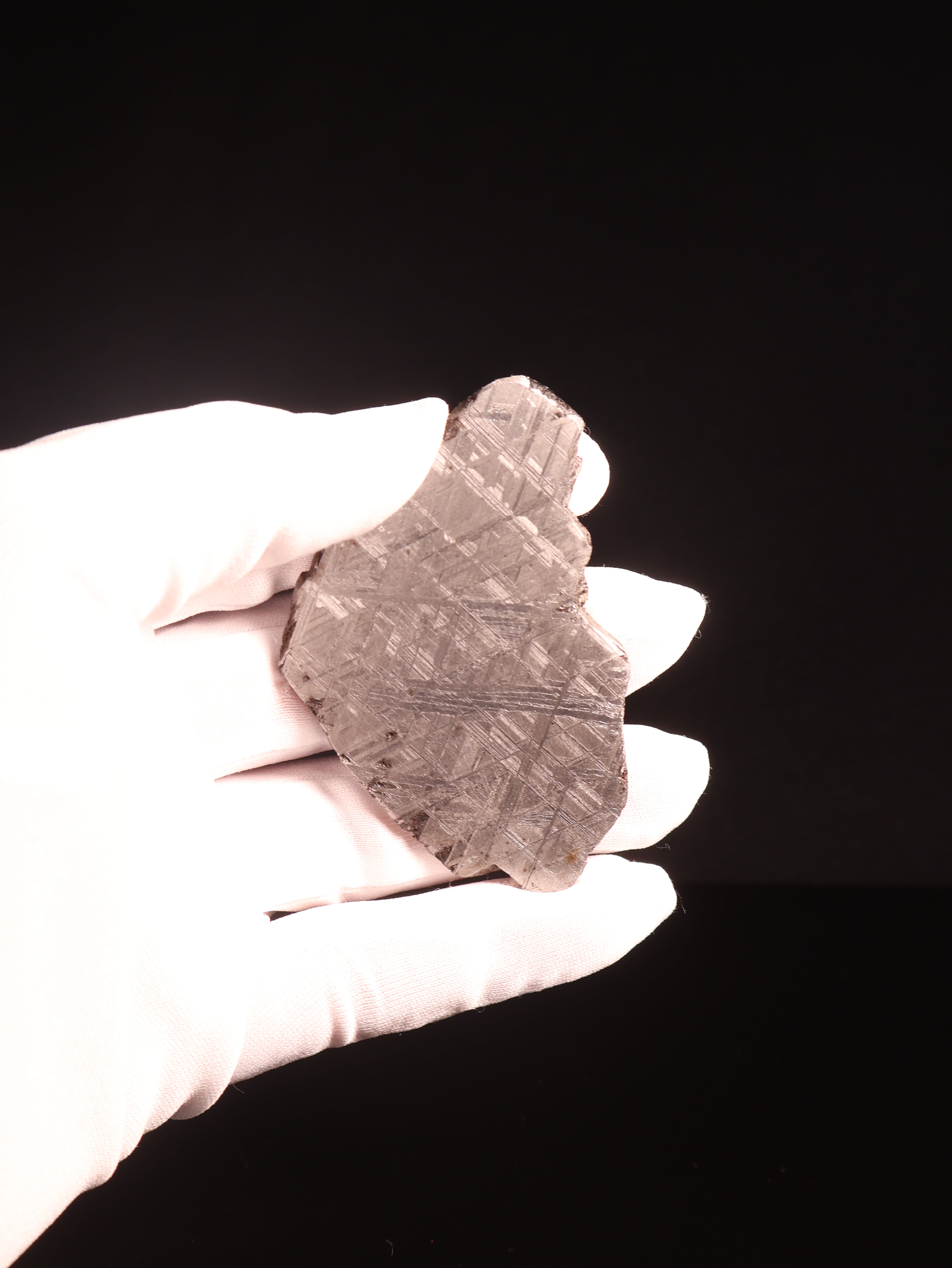 Muonionalusta meteorite, Sweden. 73,71 grams.