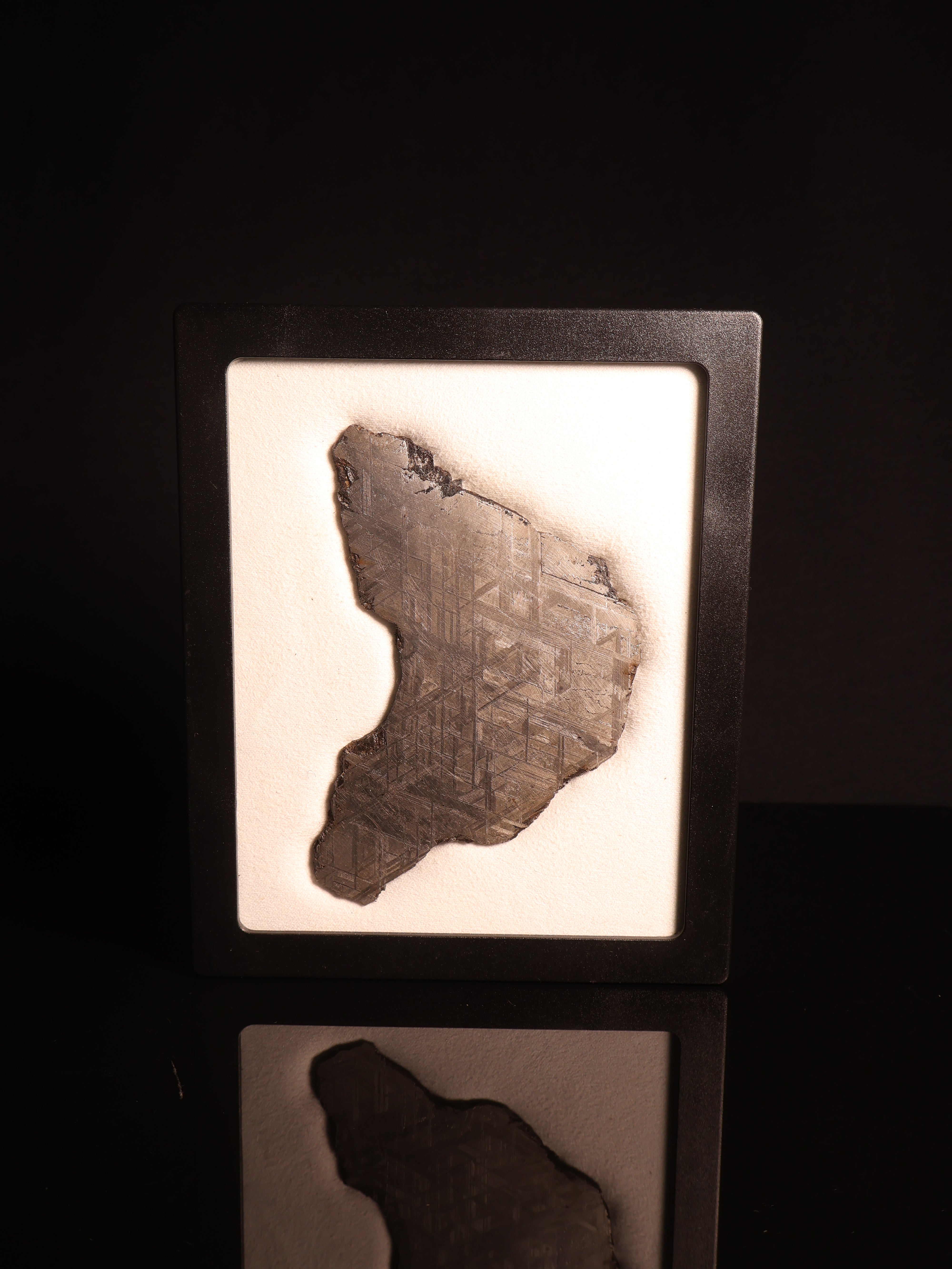 Muonionalusta meteorite, Sweden. 94,46 grams.