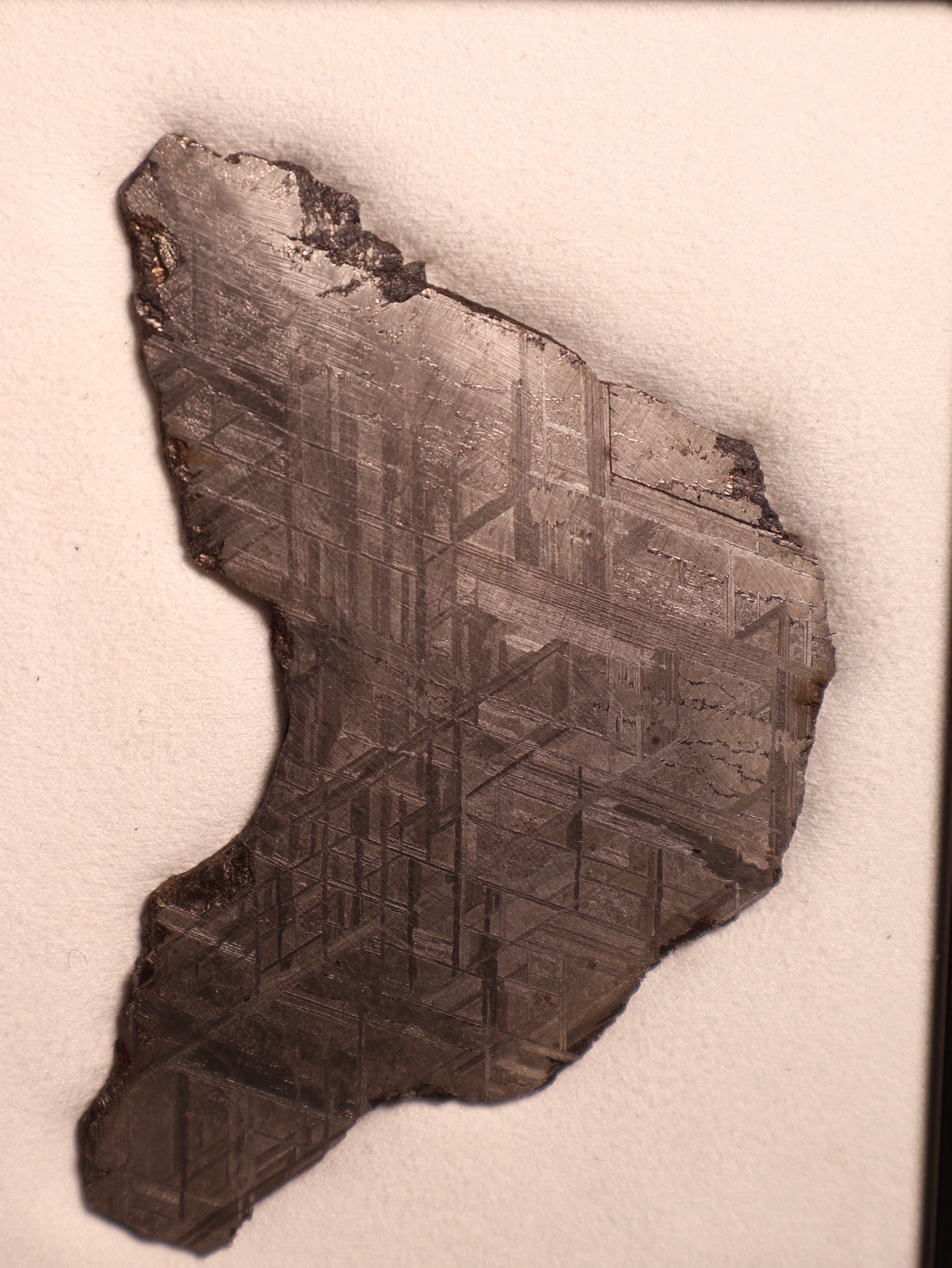 Muonionalusta meteorite, Sweden. 94,46 grams.