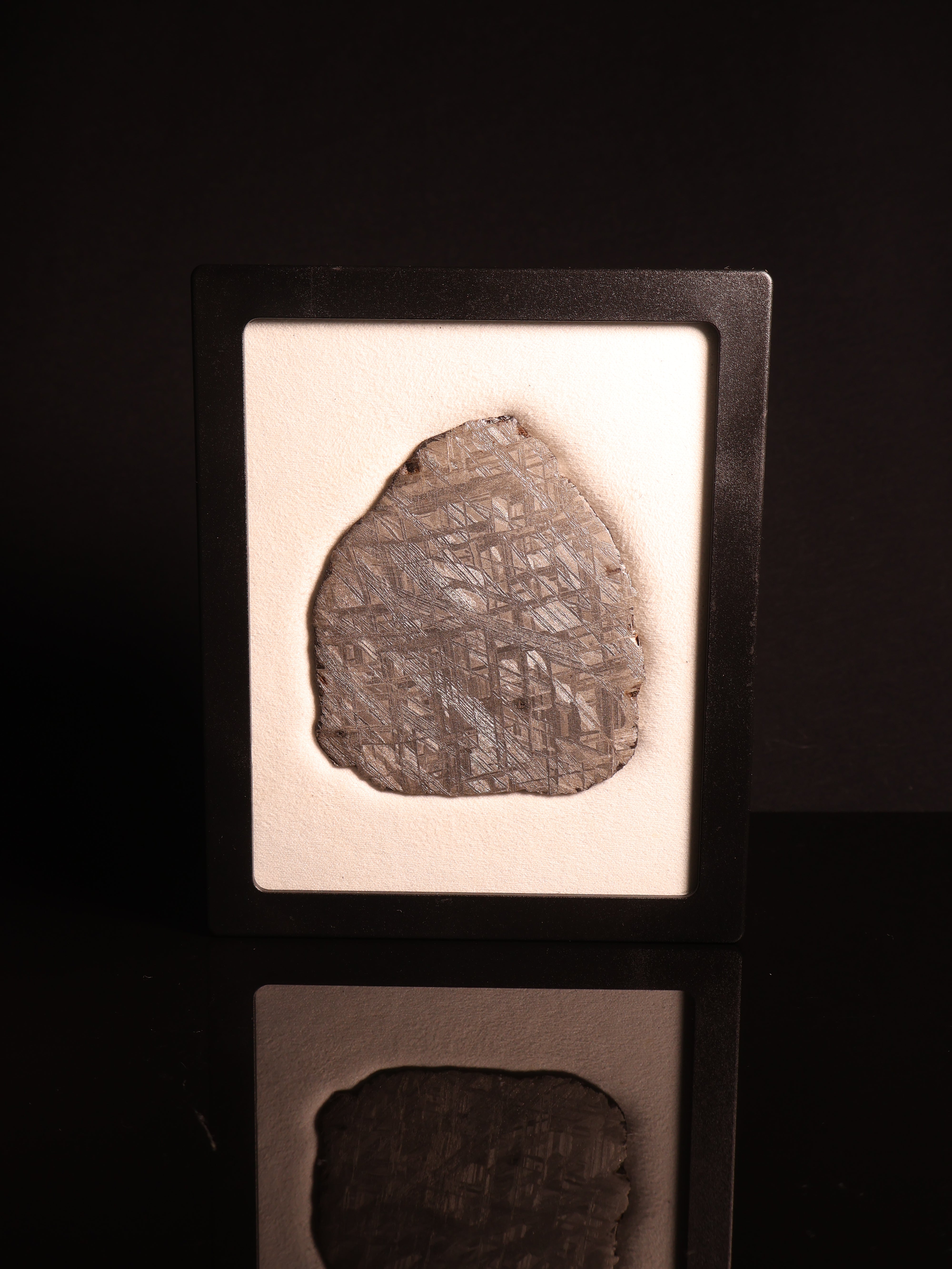 MUONIONALUSTA METEORITE, SWEDEN. 103.7 GRAMS.