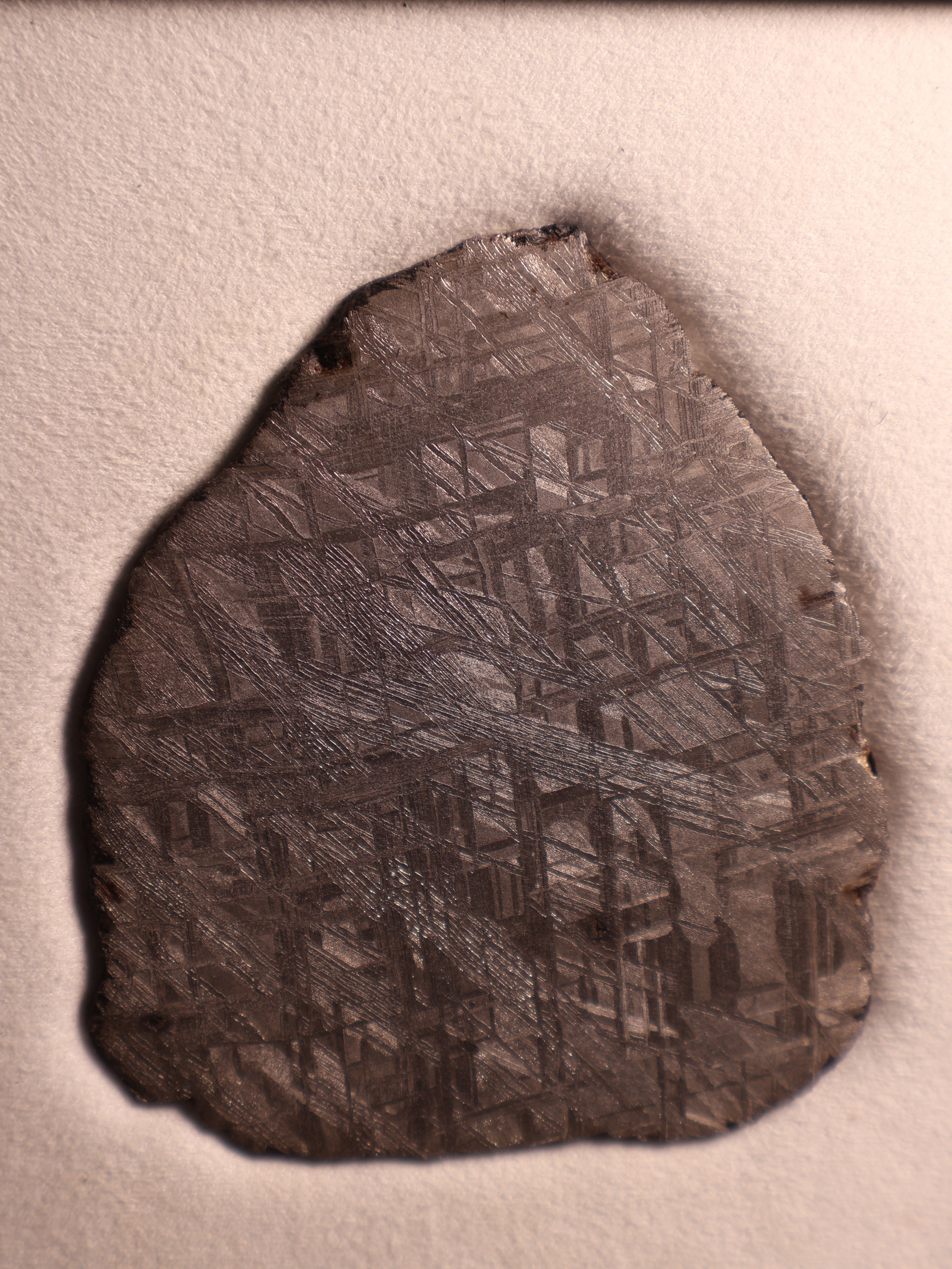 MUONIONALUSTA METEORITE, SWEDEN. 103.7 GRAMS.