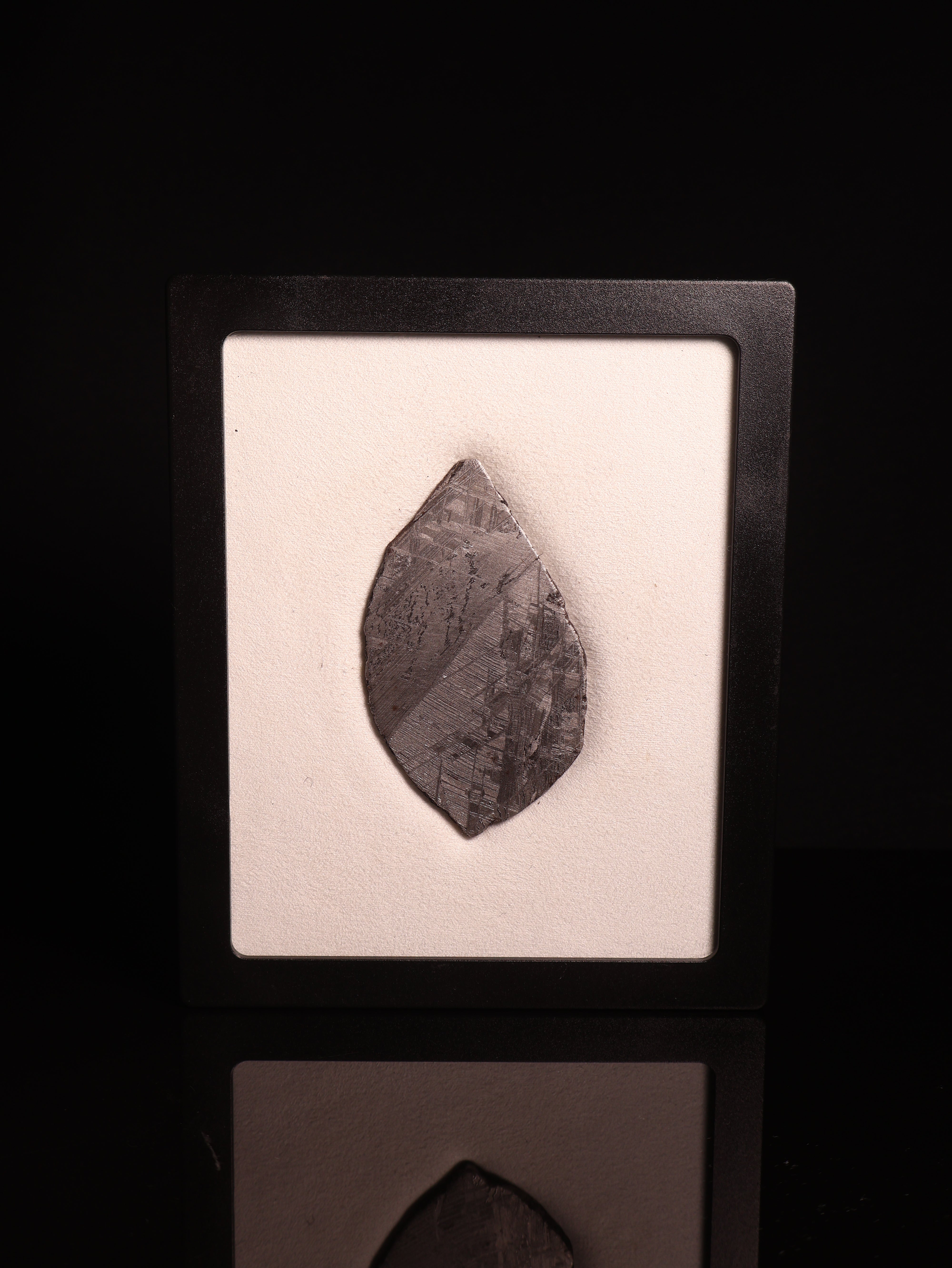 MUONIONALUSTA METEORITE, SWEDEN. 53.89 GRAMS.