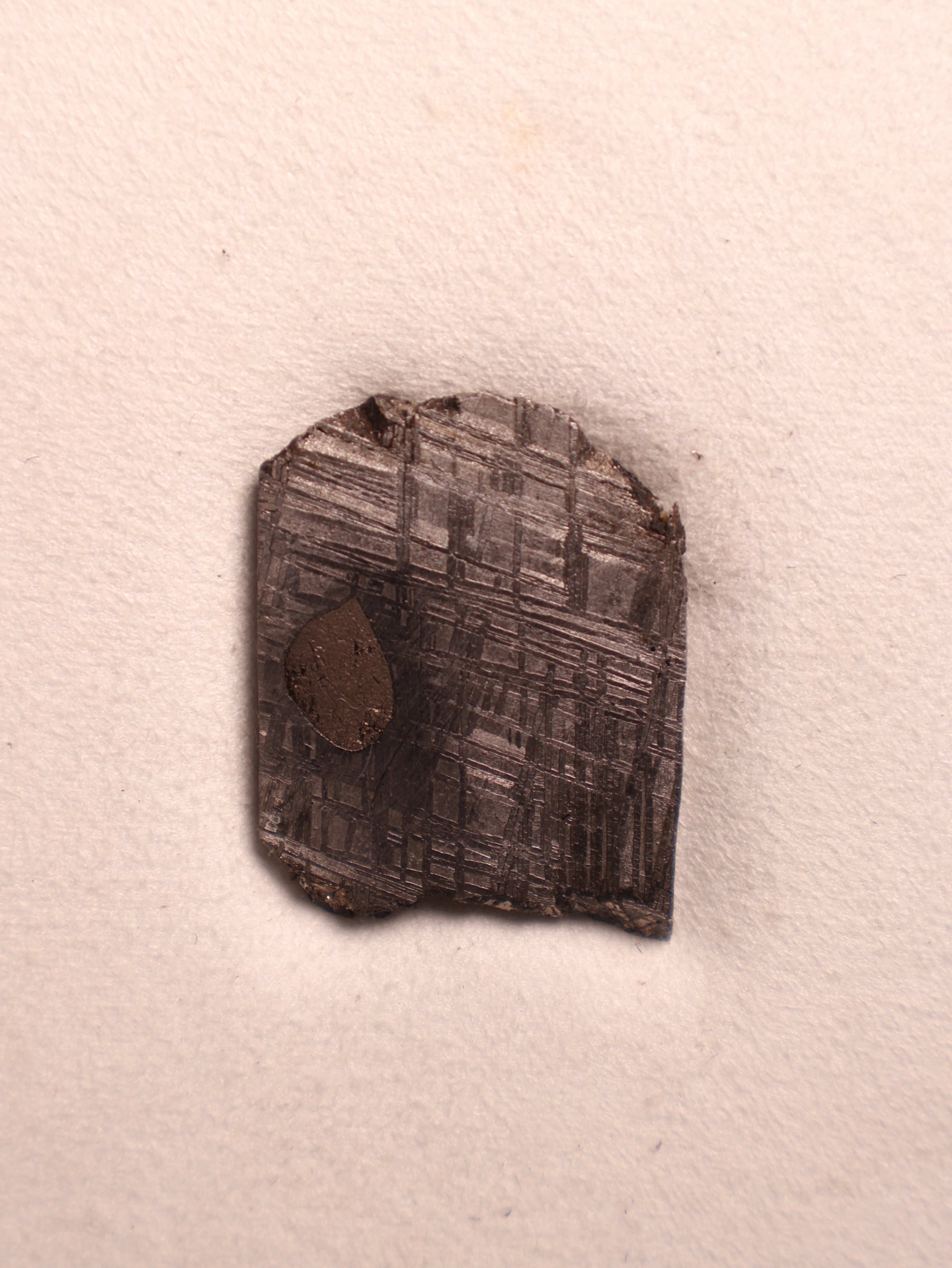 MUONIONALUSTA METEORITE, SWEDEN. 19.7 GRAMS.