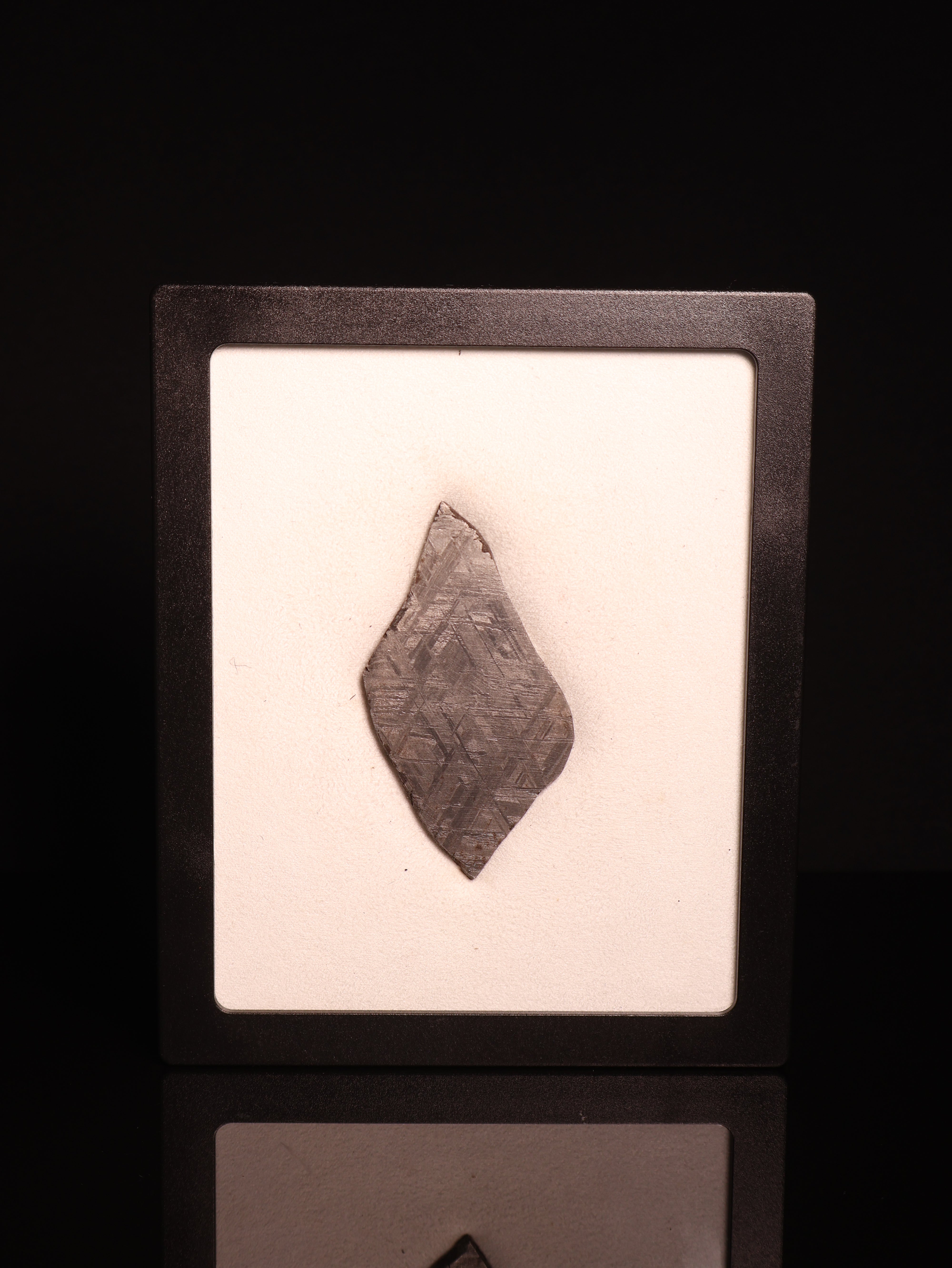 MUONIONALUSTA METEORITE, SWEDEN. 42.2 GRAMS.