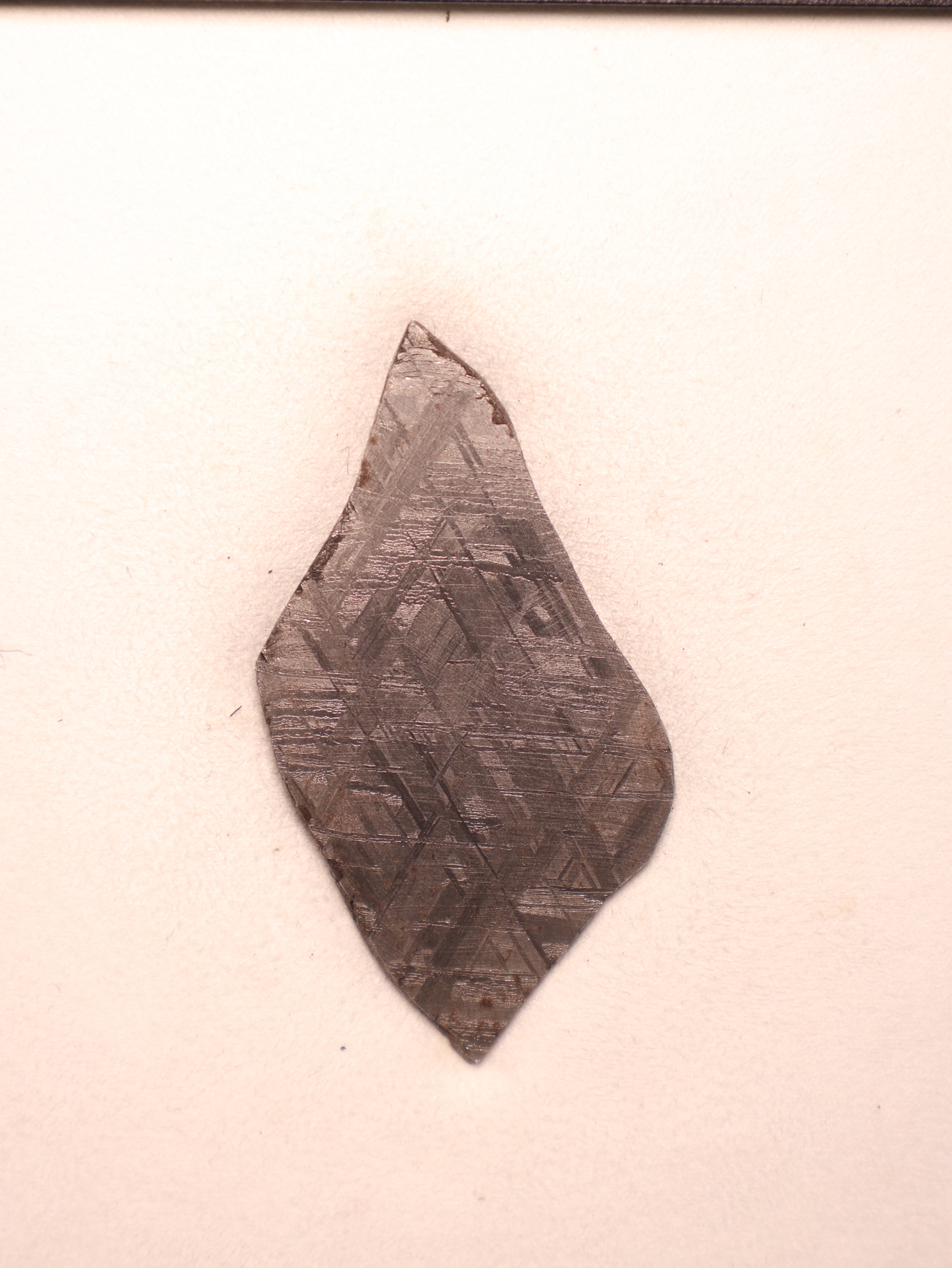 MUONIONALUSTA METEORITE, SWEDEN. 42.2 GRAMS.