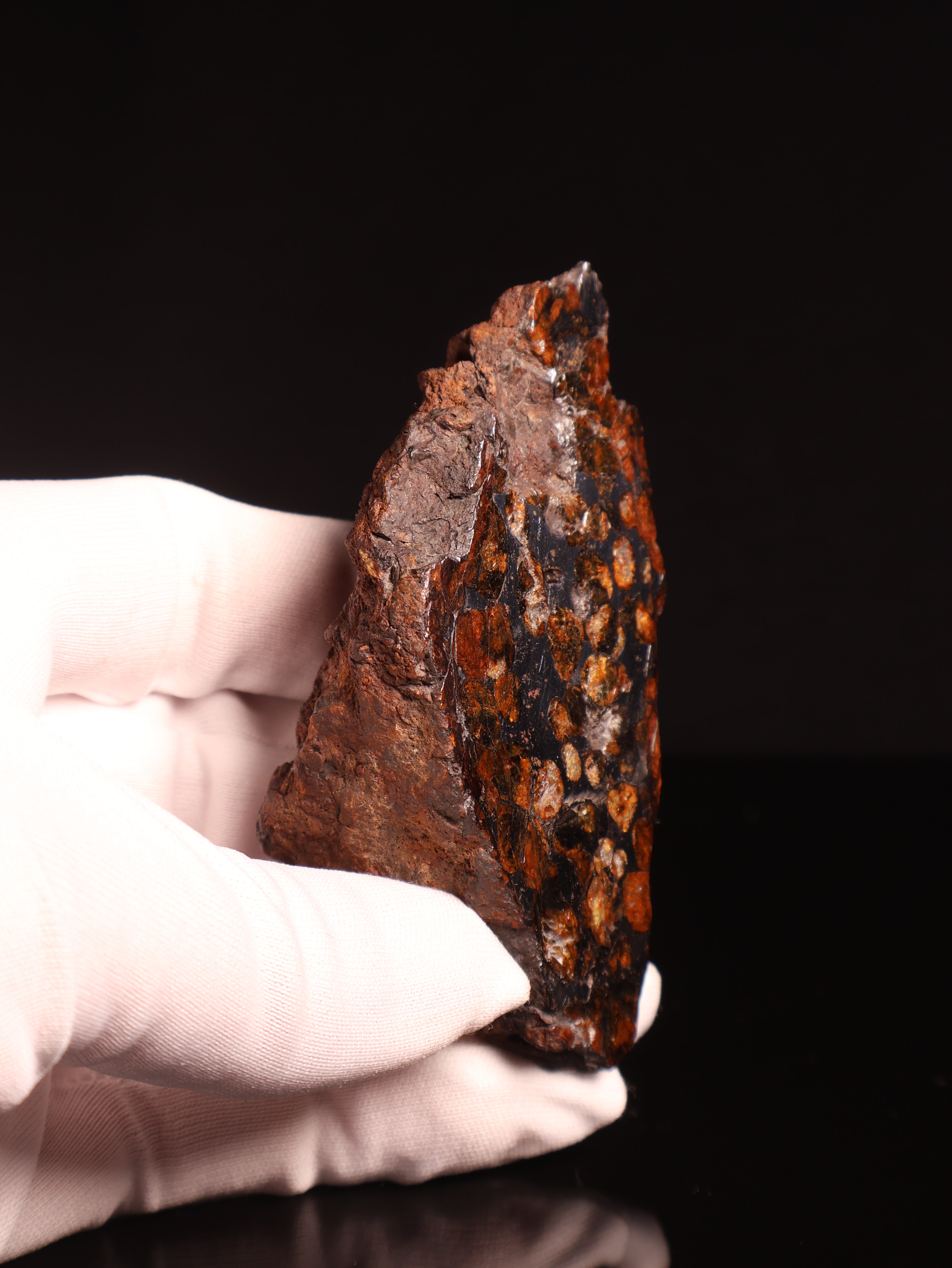 SERICHO PALLASITE METEORITE, KENYA. 180.4 GRAMS END-CUT.