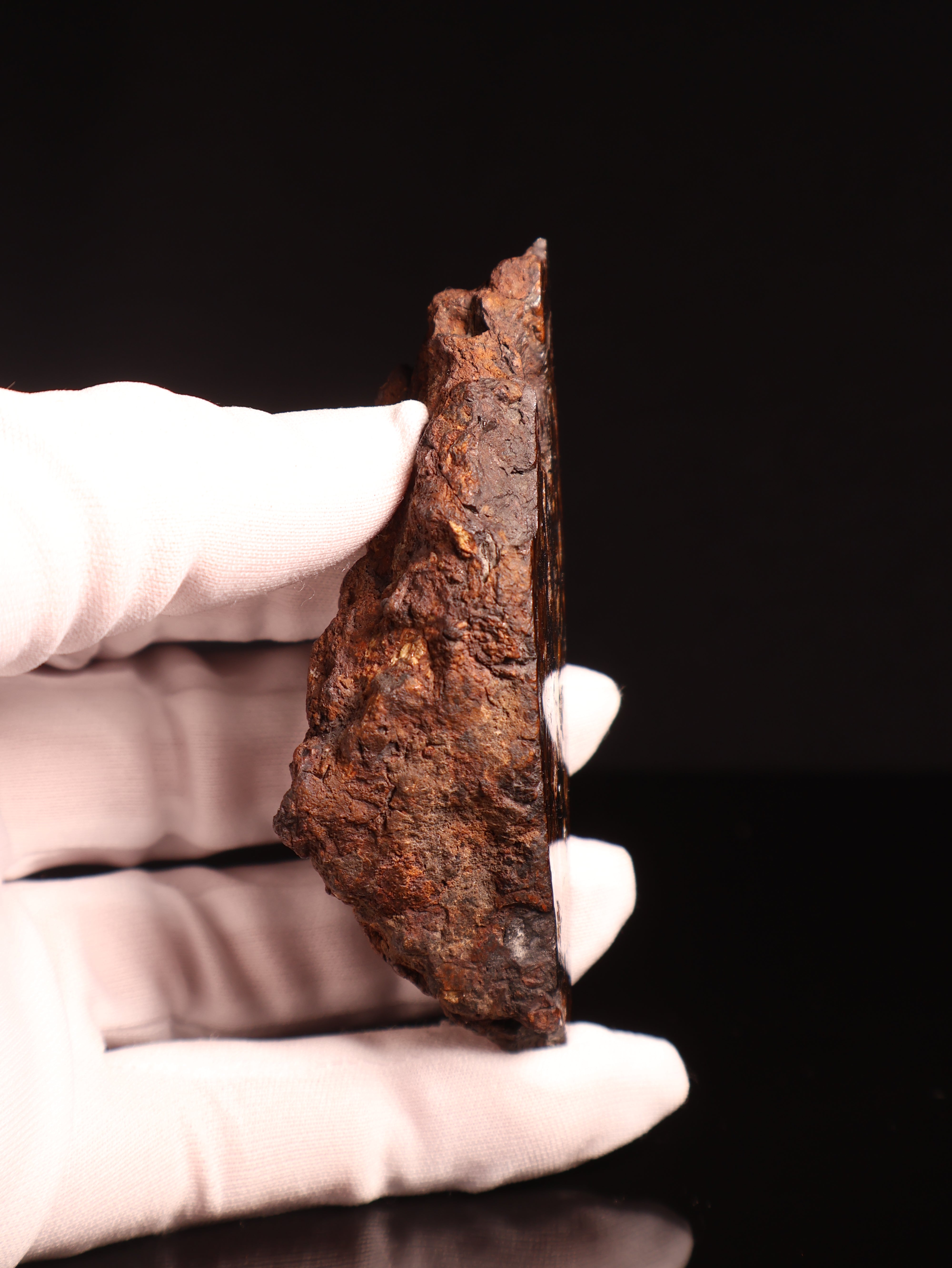 SERICHO PALLASITE METEORITE, KENYA. 180.4 GRAMS END-CUT.