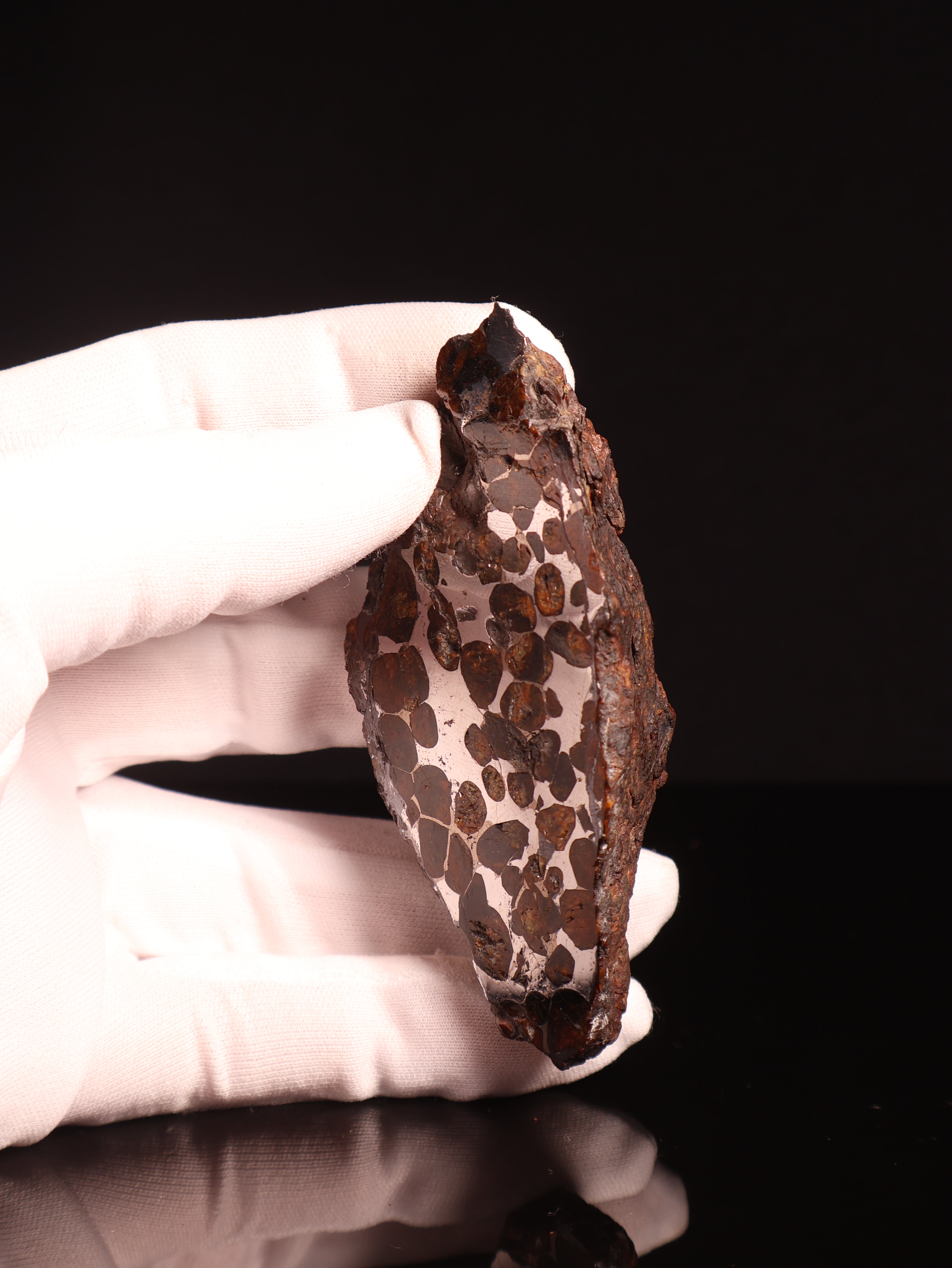 SERICHO PALLASITE METEORITE, KENYA. 180.4 GRAMS END-CUT.