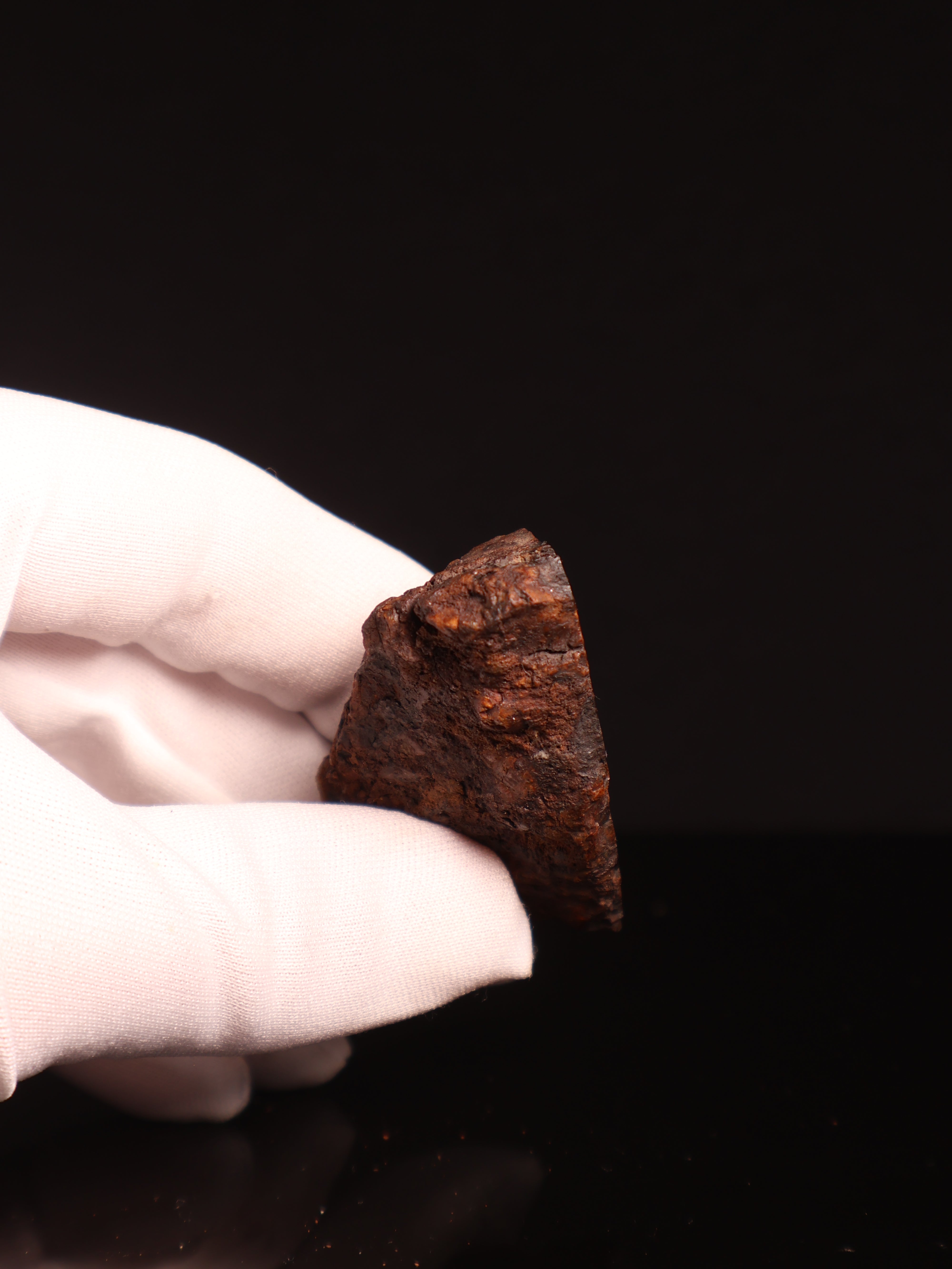 SERICHO PALLASITE METEORITE, KENYA. 89,5 GRAMS END-CUT