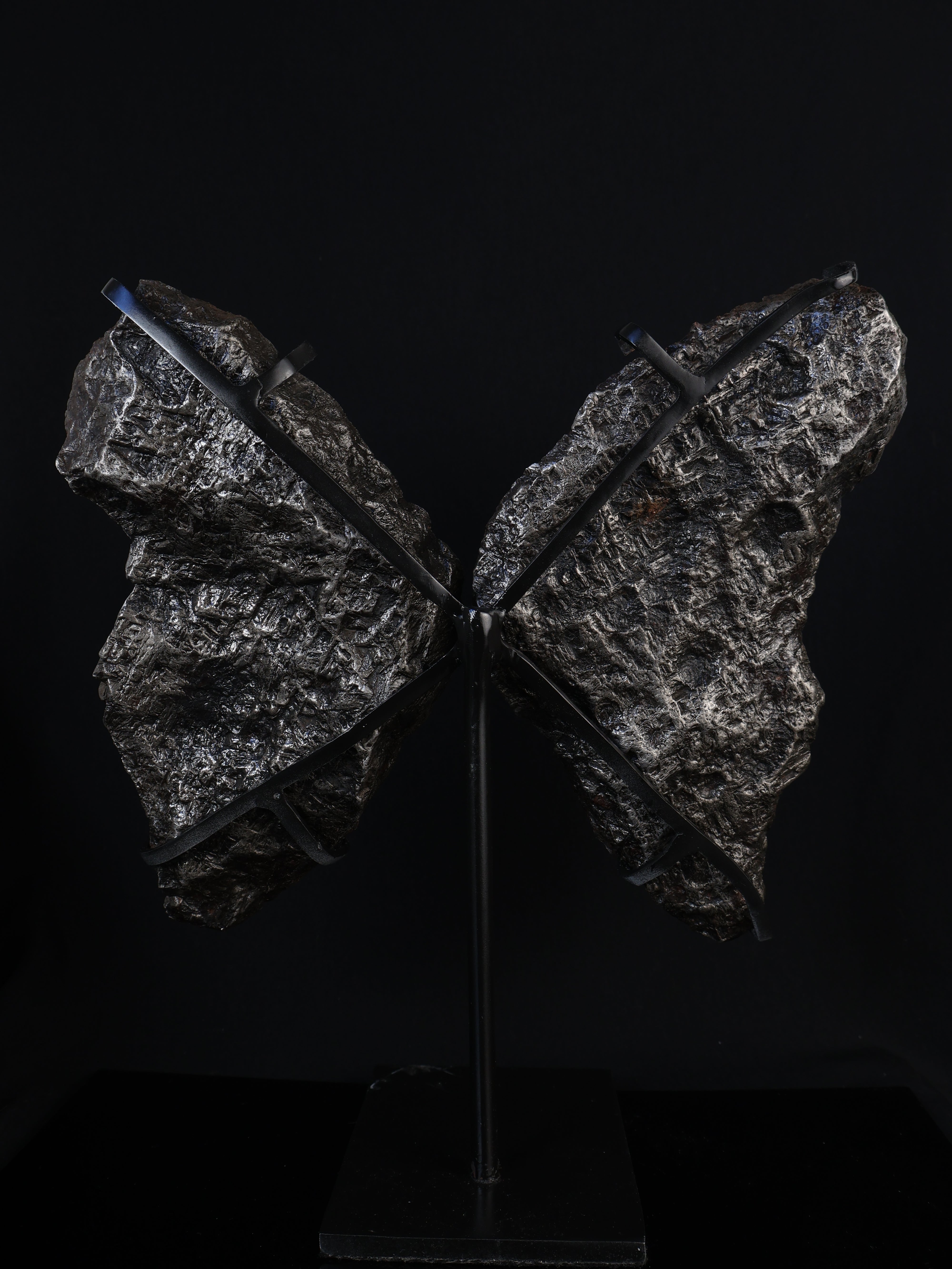 "COSMIC BUTTERFLY" MUONIONALUSTA, SWEDEN. FULL METEORITE IN TWO HALVES.