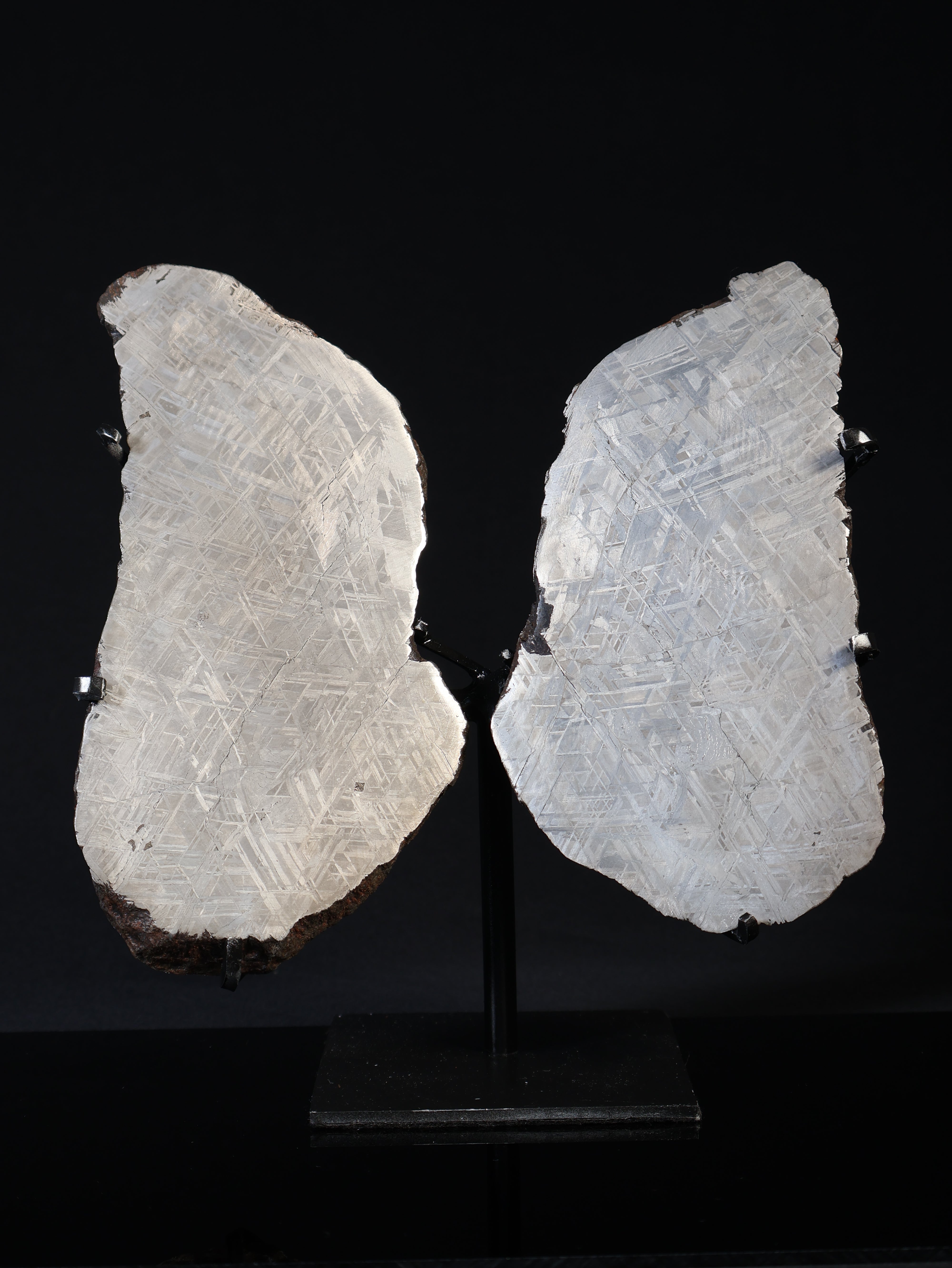 'COSMIC LUNGS' MUONIONALUSTA METEORITE, SWEDEN. FULL METEORITE IN TWO HALVES 1.950 GRAMS