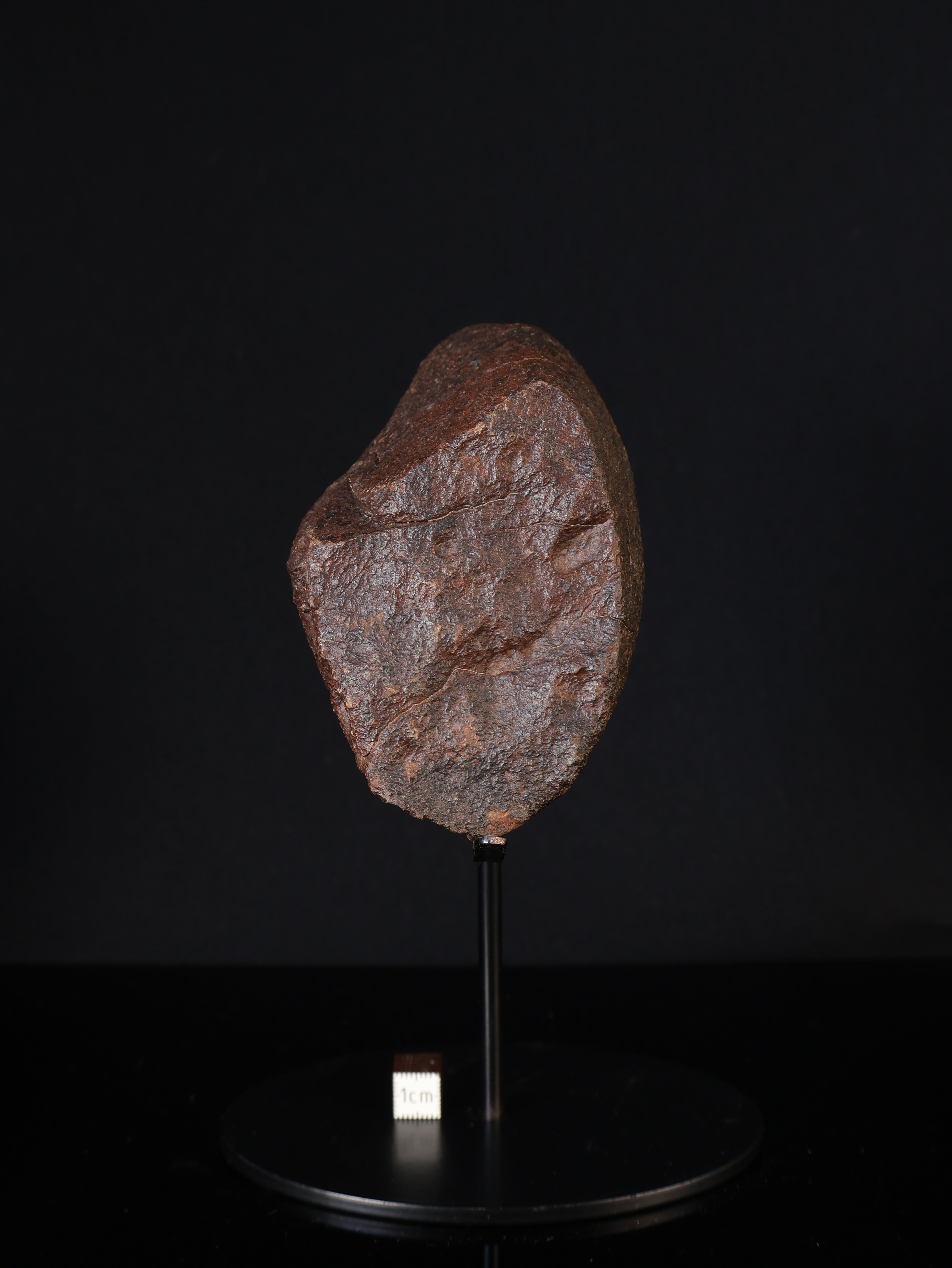 CHONDRITE METEORITE, NORTH WEST AFRICA. 421 GRAMS.