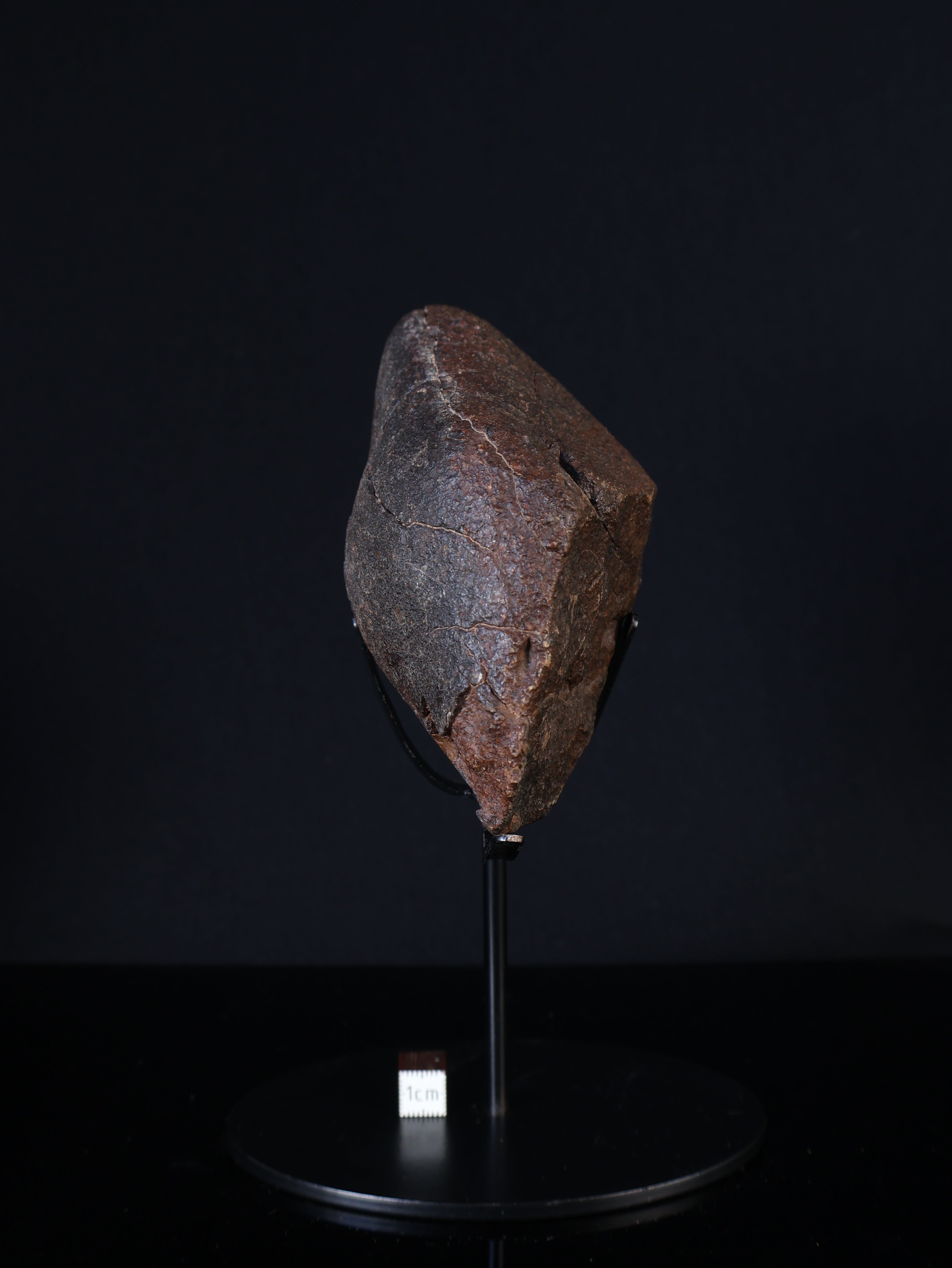 CHONDRITE METEORITE, NORTH WEST AFRICA. 421 GRAMS.