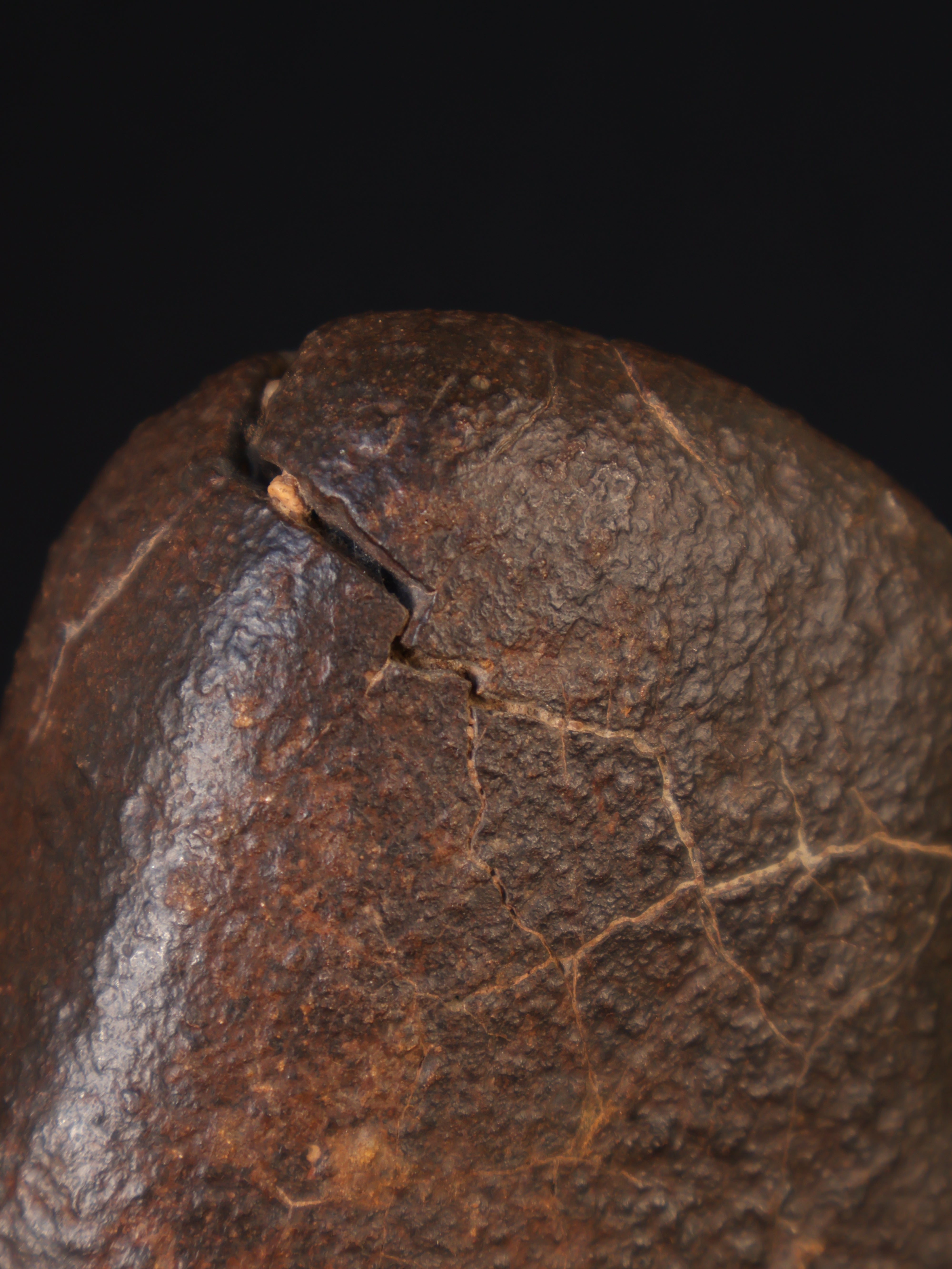 Chondrite meteorite, North West Africa. 832 grams.