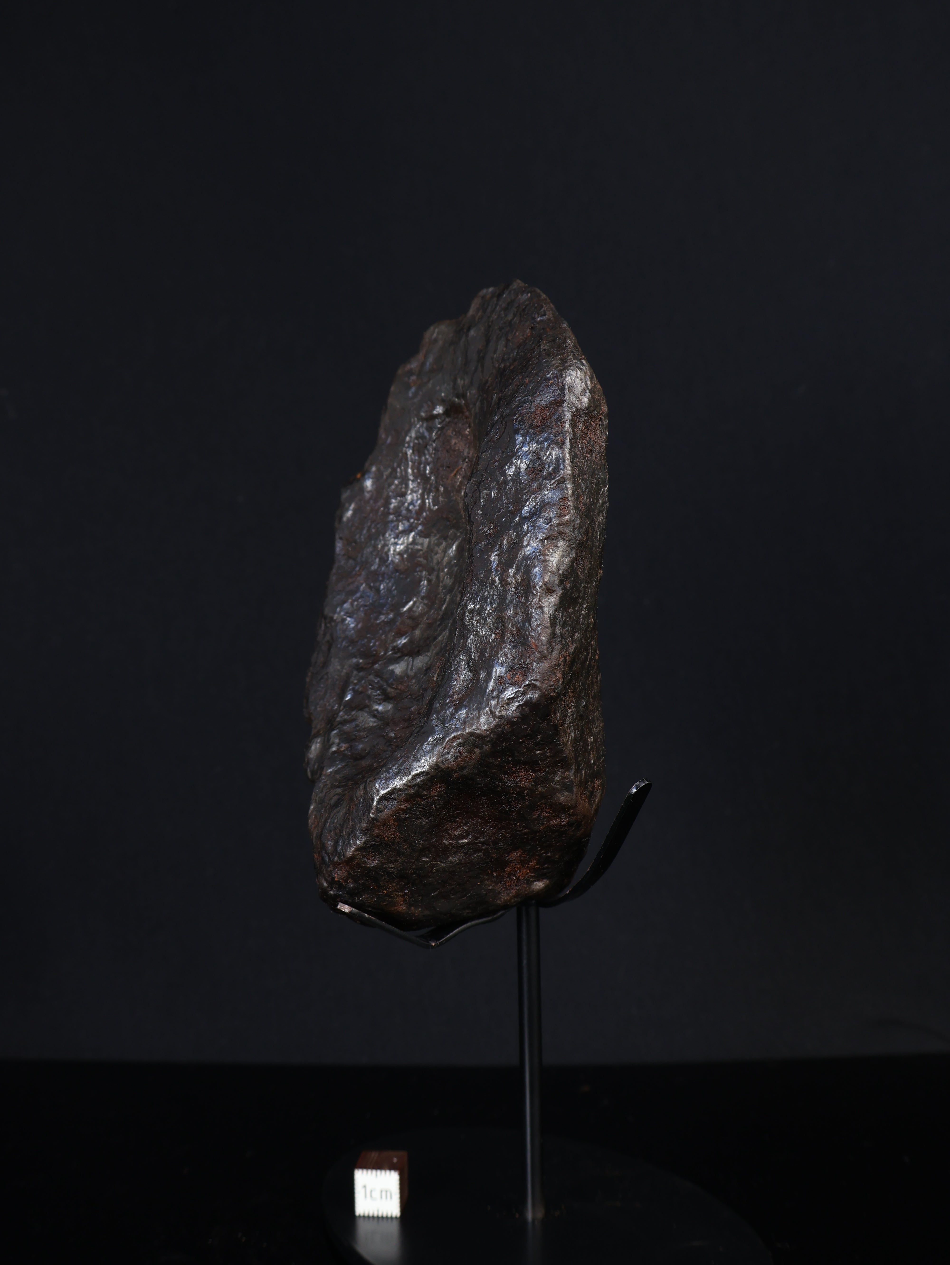 MUONIONALUSTA METEORITE, SWEDEN. FULL METEORITE 1711 grams.