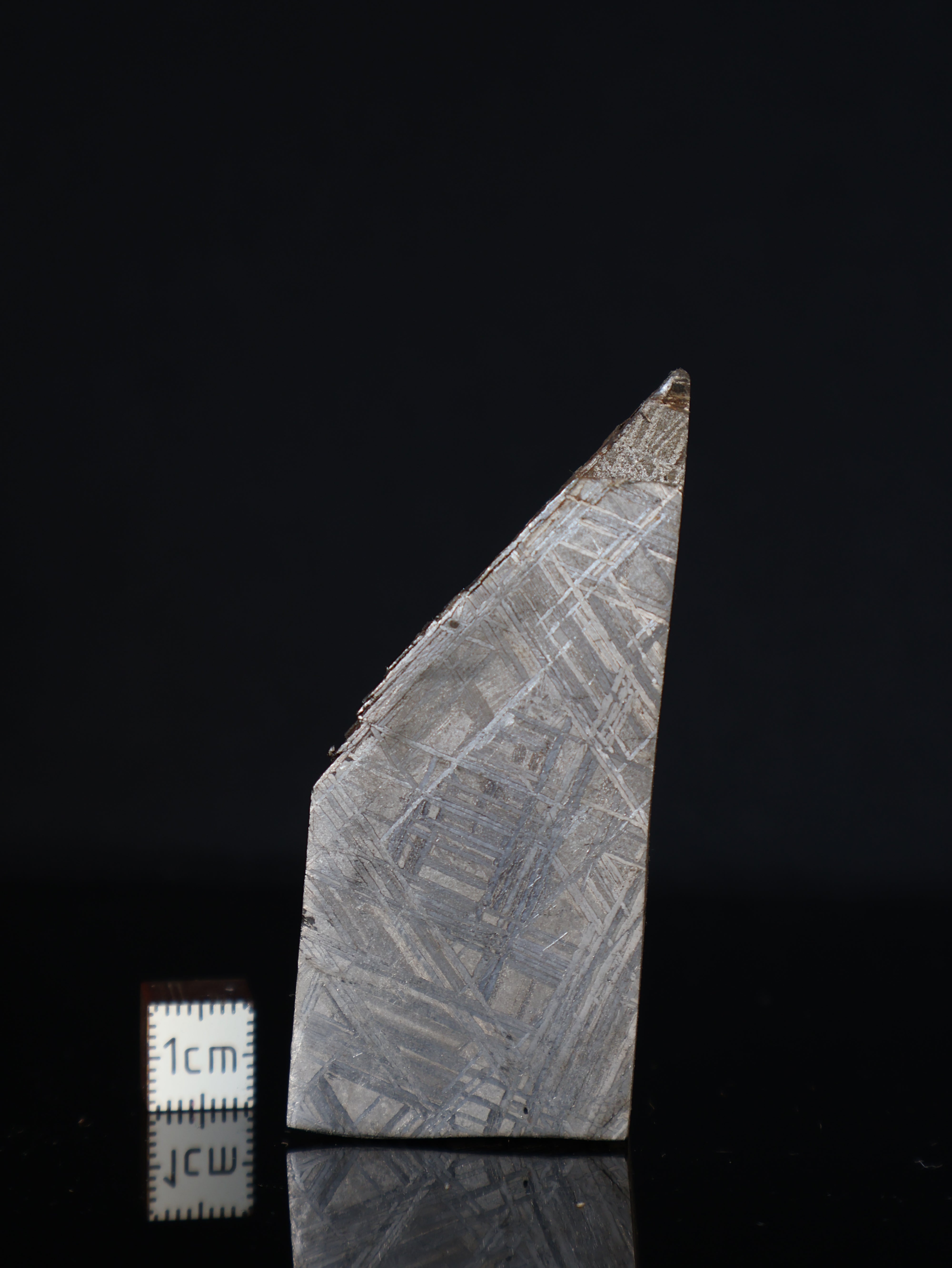 MUONIONALUSTA METEORITE, SWEDEN. 155 GRAMS END-CUT.
