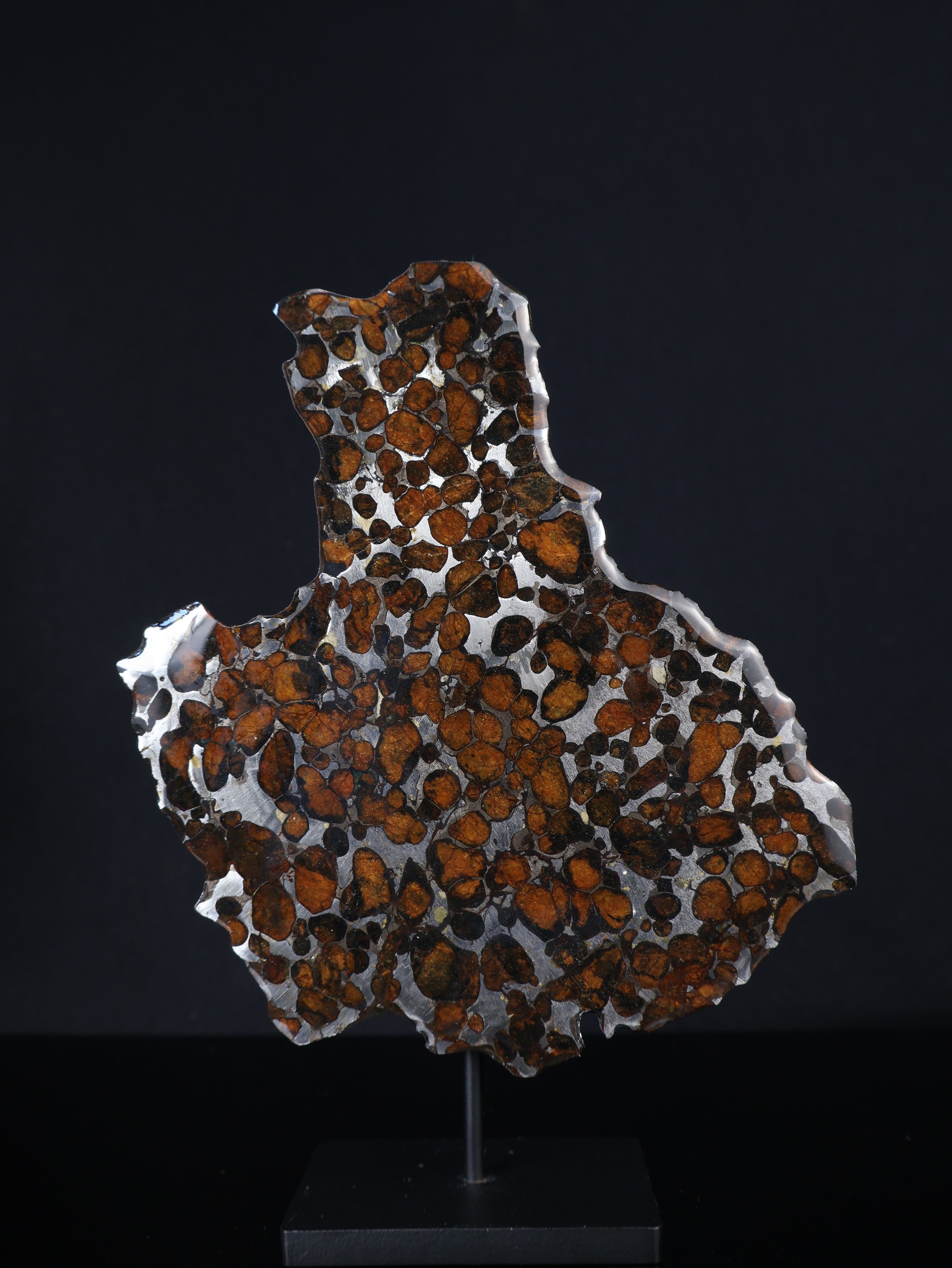 SERICHO METEORITE, KENYA. 55,5 GRAMS SLICE