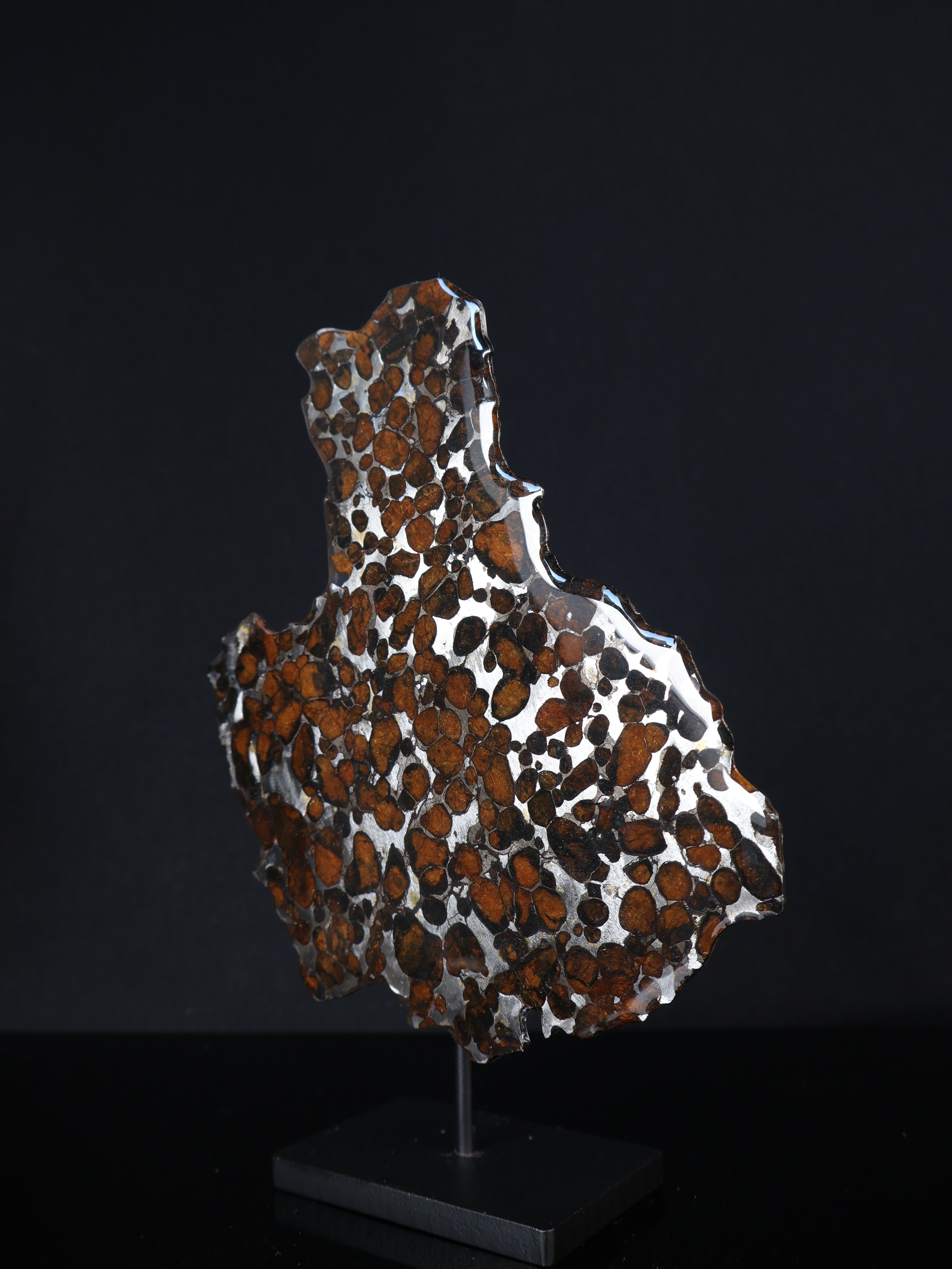 SERICHO METEORITE, KENYA. 55,5 GRAMS SLICE