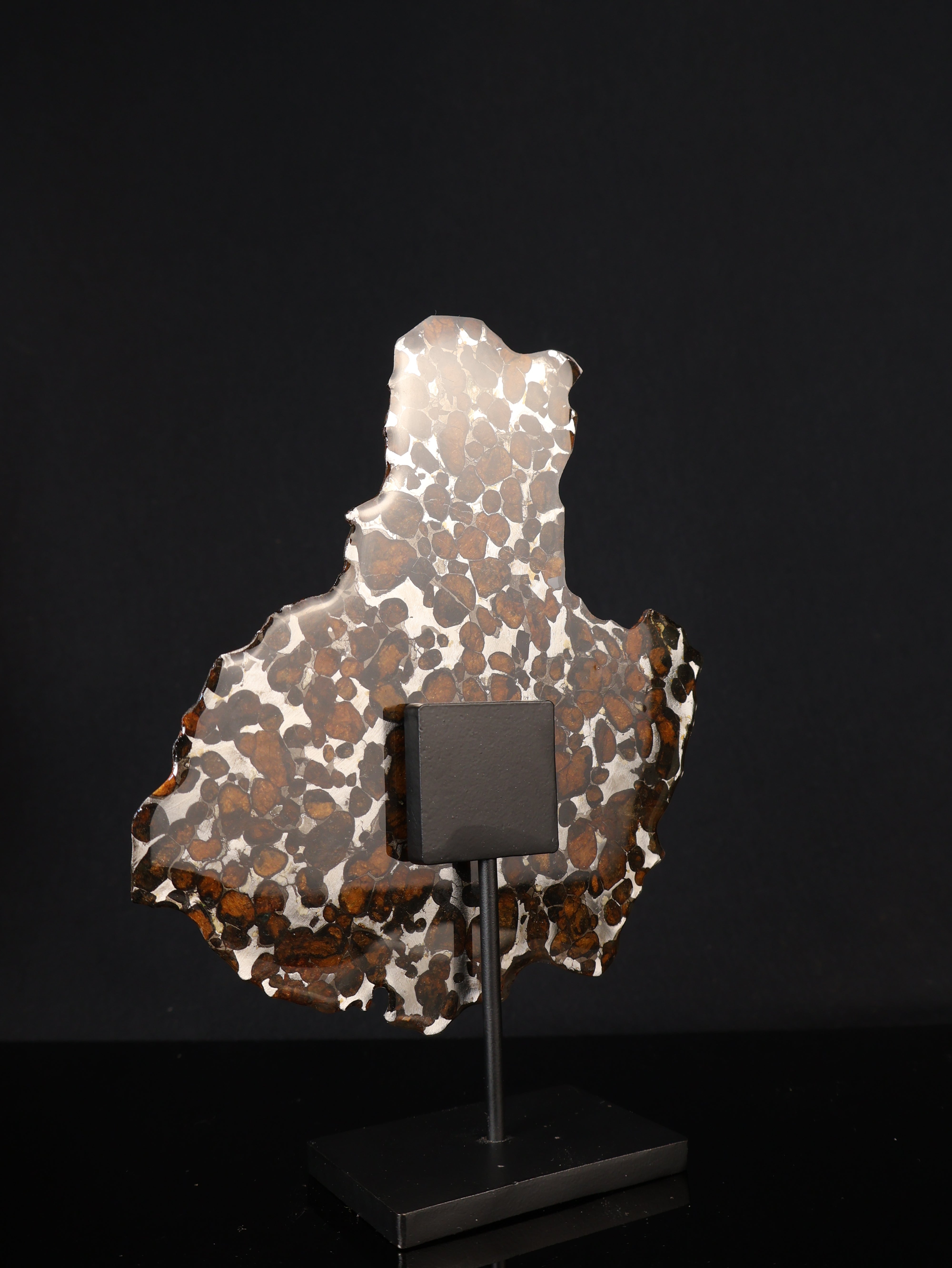 SERICHO METEORITE, KENYA. 55,5 GRAMS SLICE