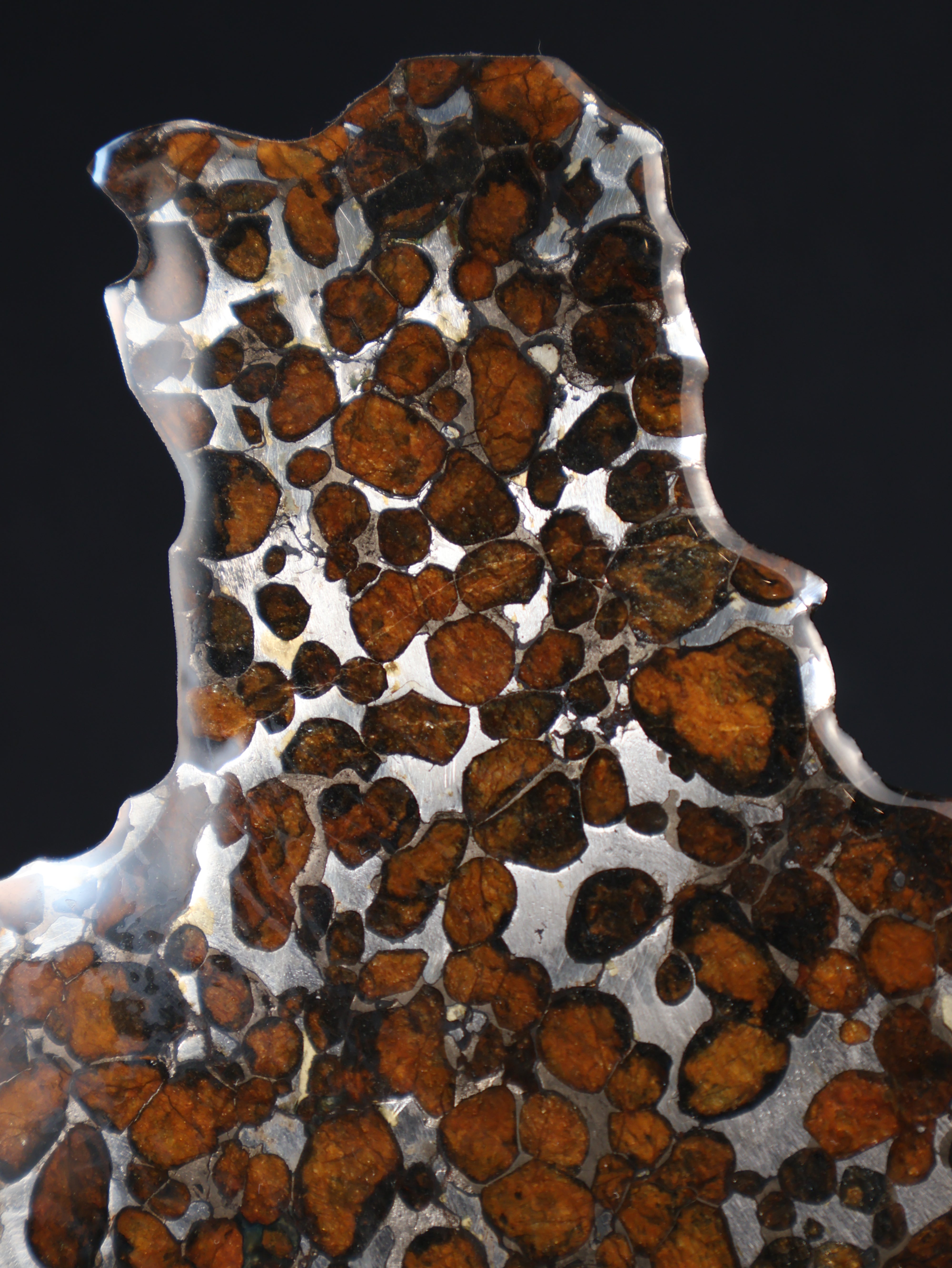 SERICHO METEORITE, KENYA. 55,5 GRAMS SLICE