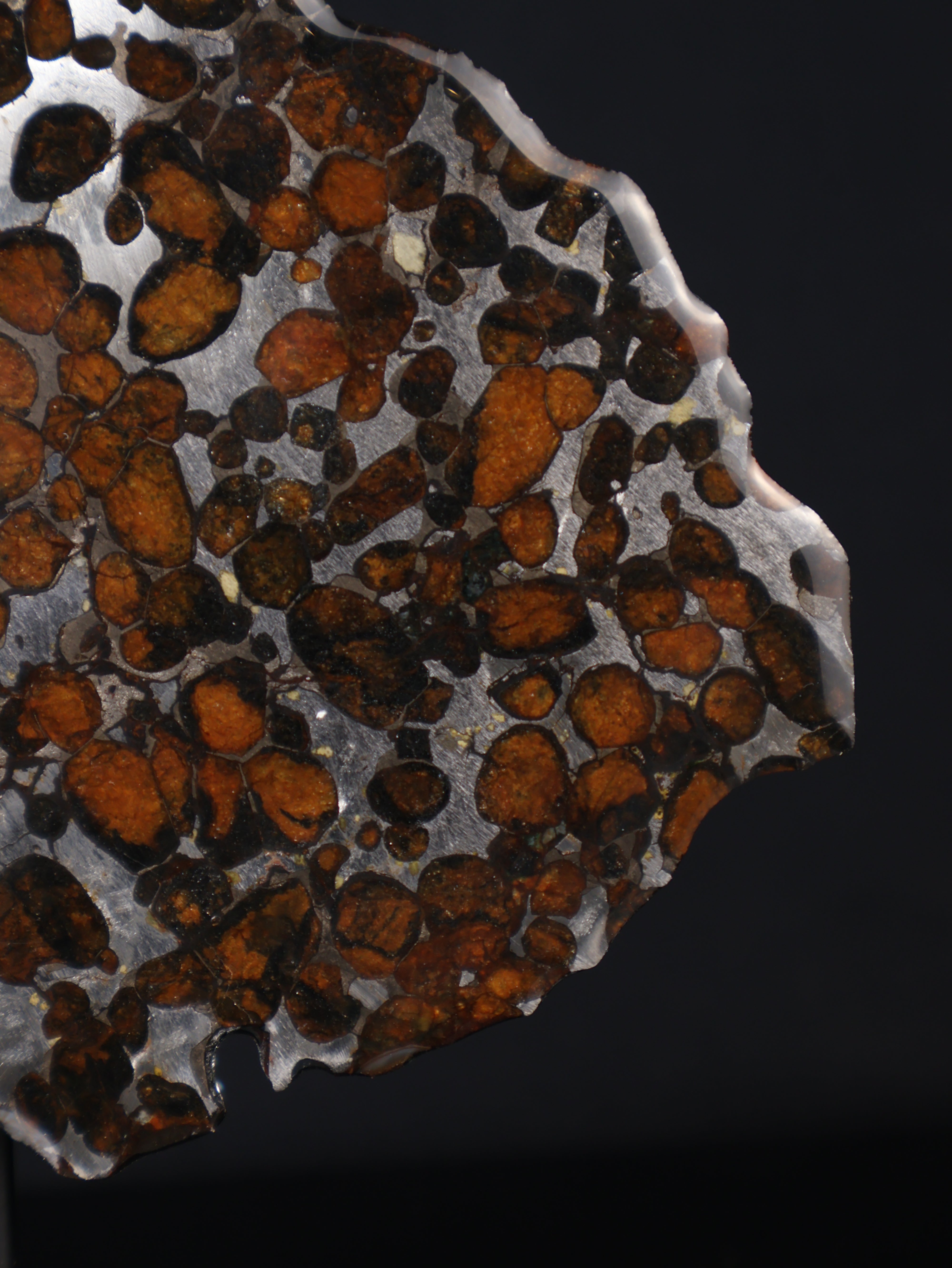 SERICHO METEORITE, KENYA. 55,5 GRAMS SLICE