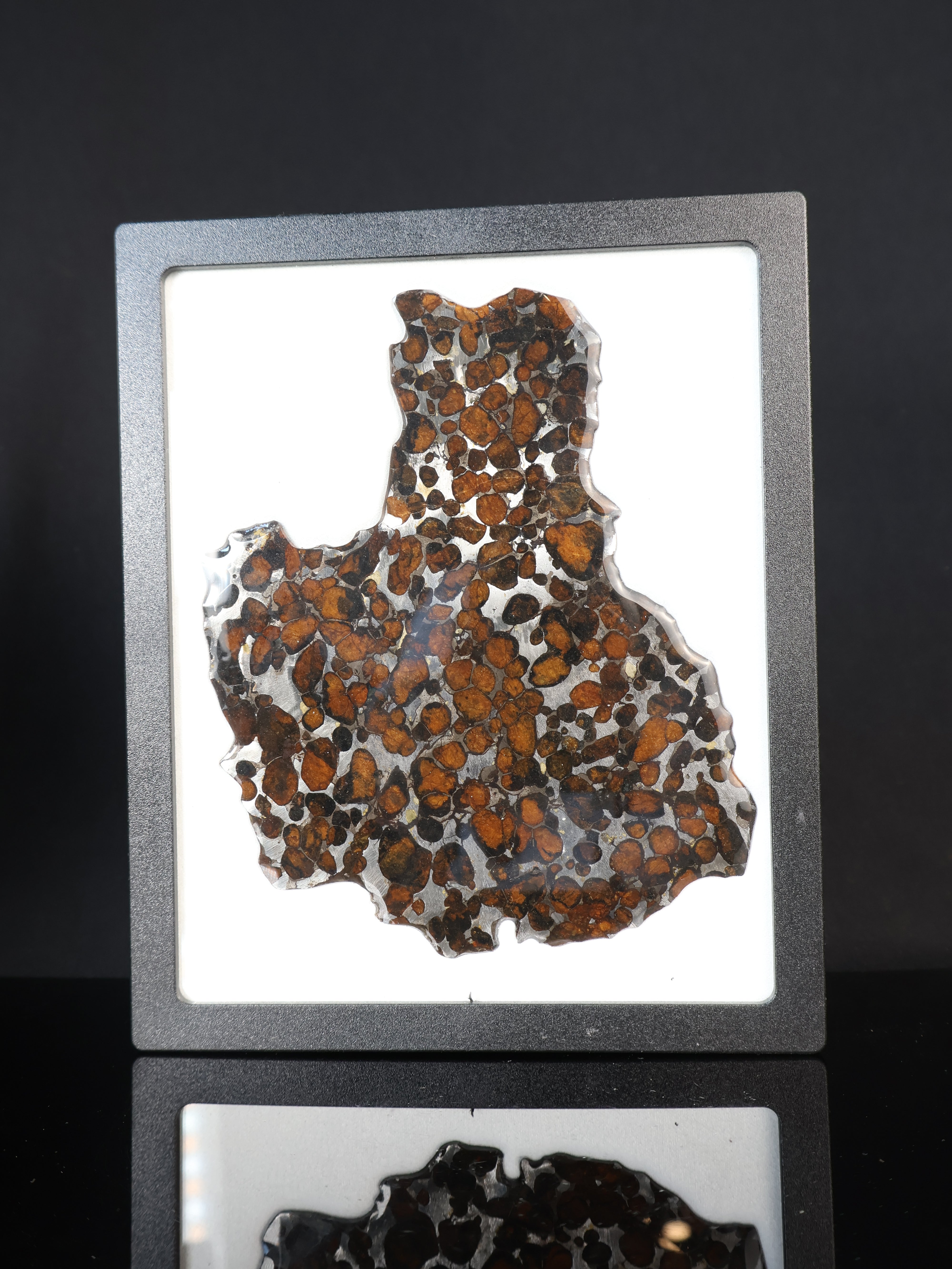 SERICHO METEORITE, KENYA. 55,5 GRAMS SLICE