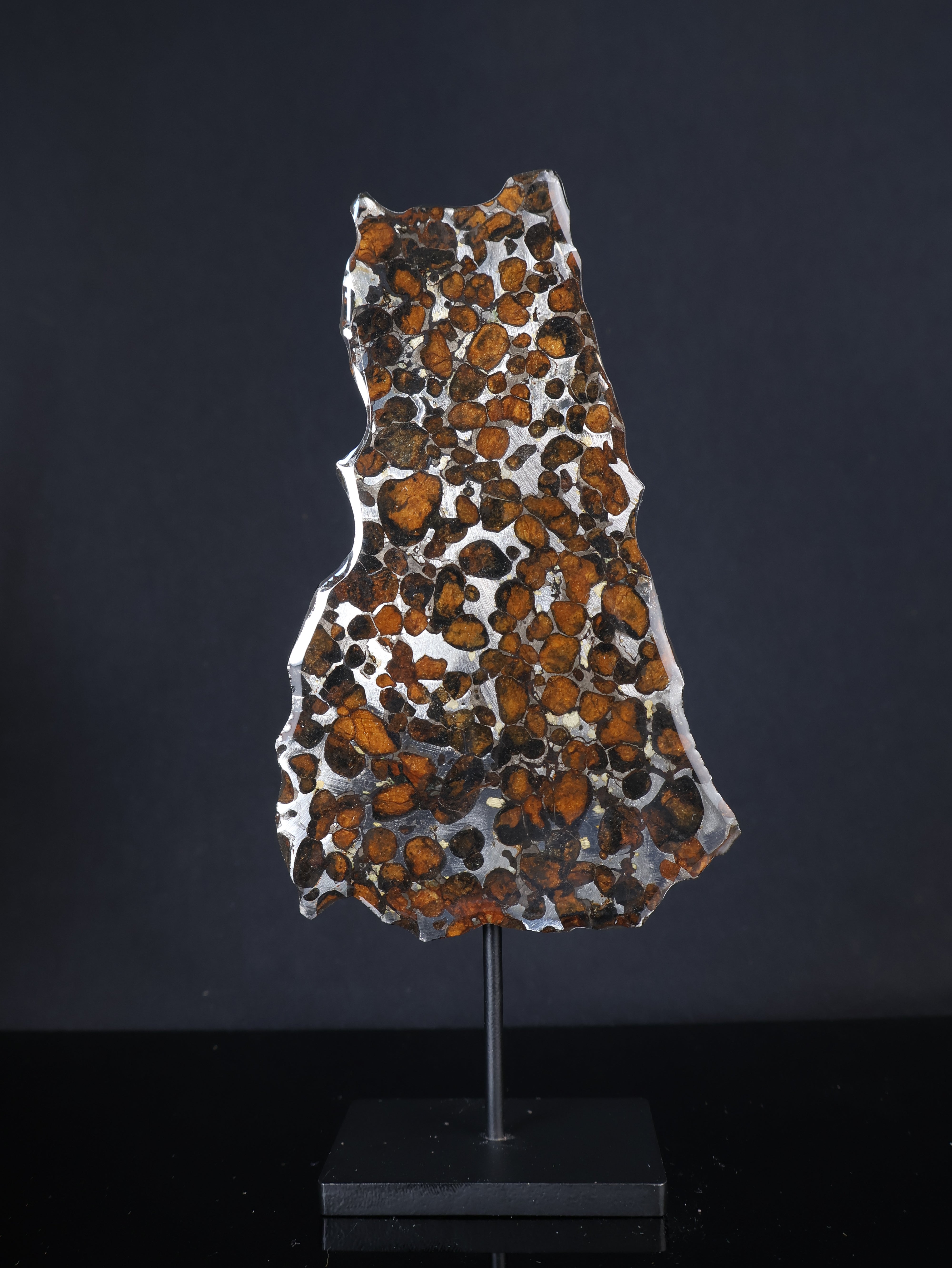 SERICHO METEORITE, KENYA. 44,9 GRAMS SLICE