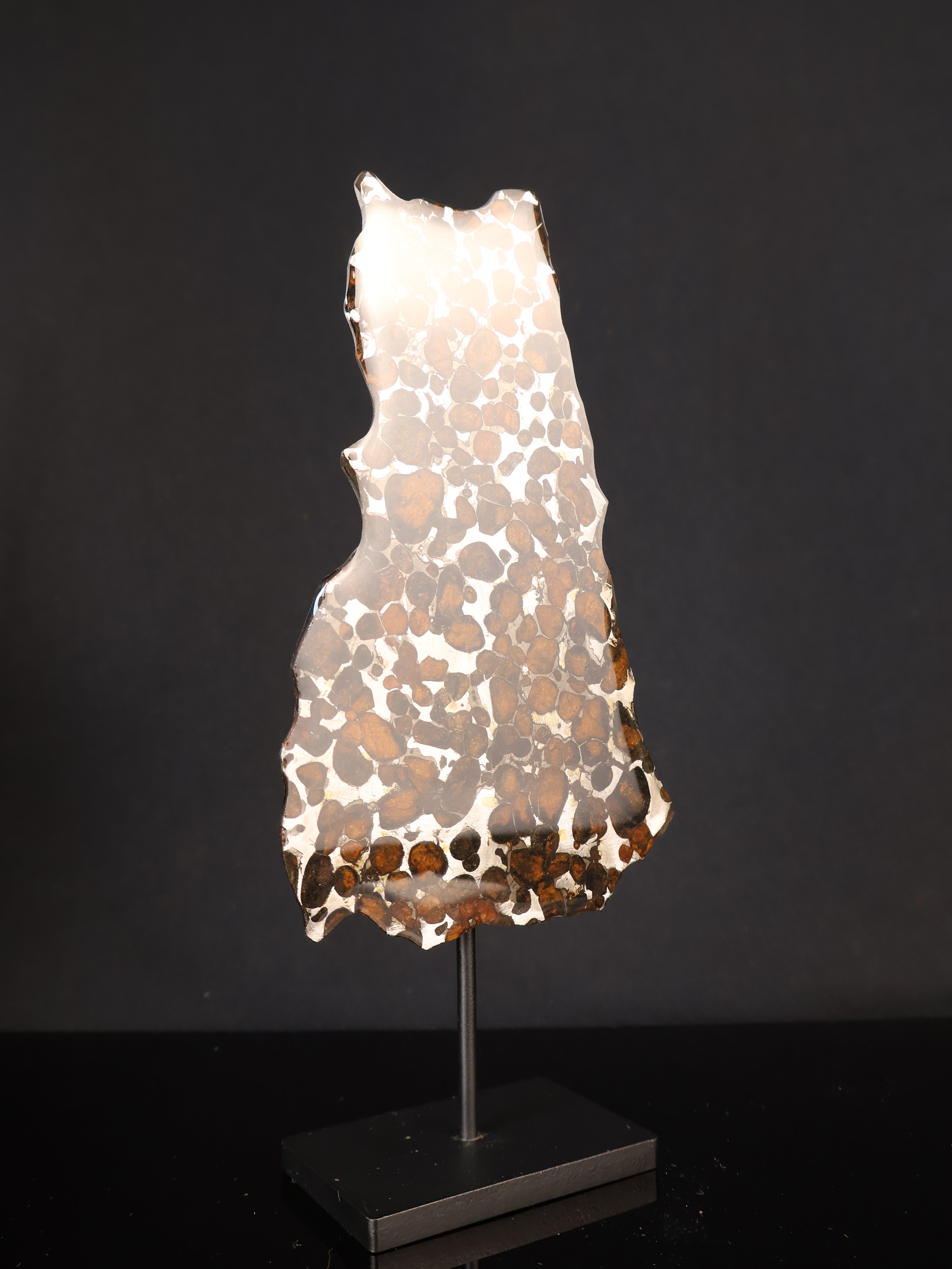 SERICHO METEORITE, KENYA. 44,9 GRAMS SLICE