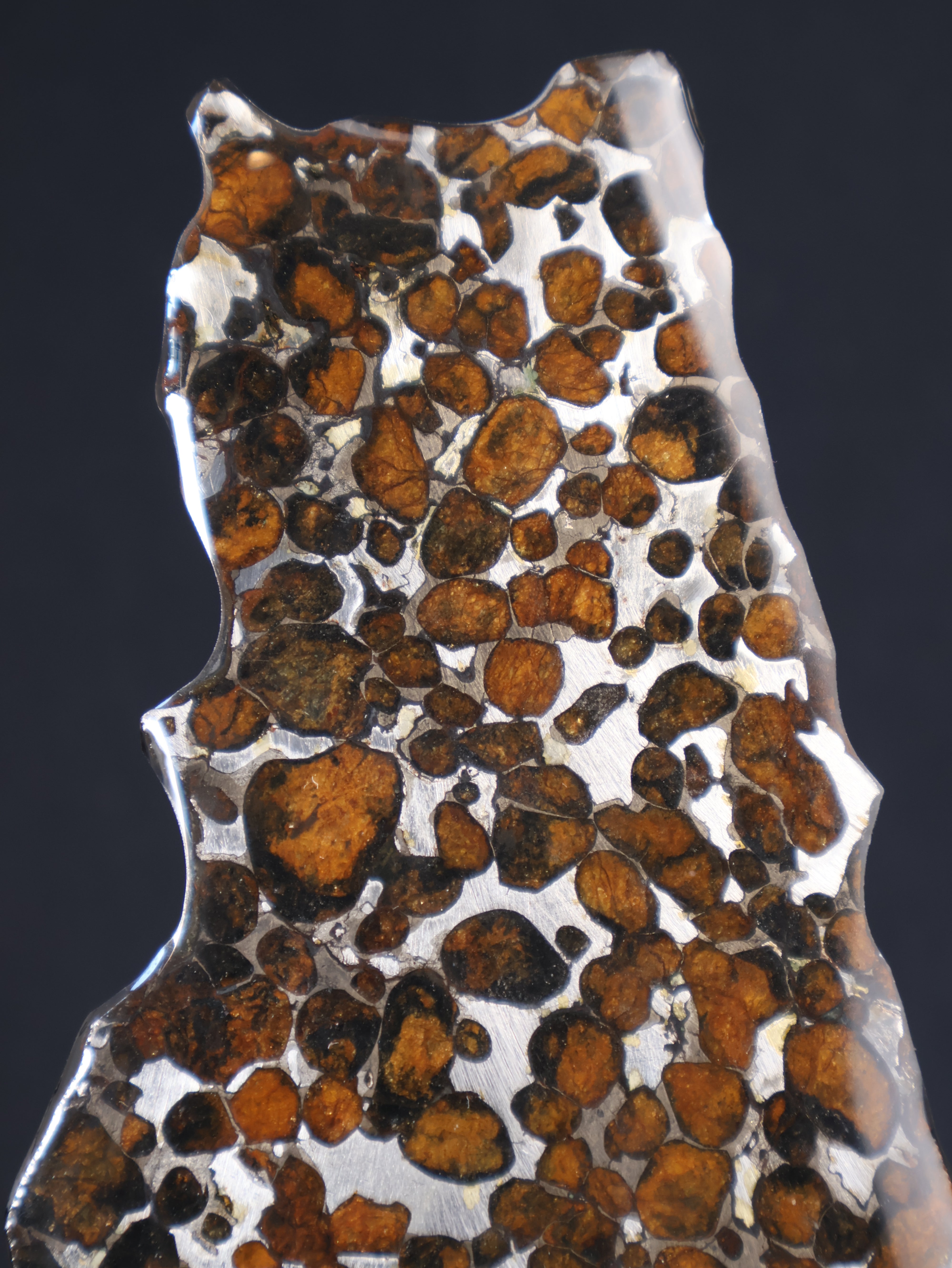 SERICHO METEORITE, KENYA. 44,9 GRAMS SLICE