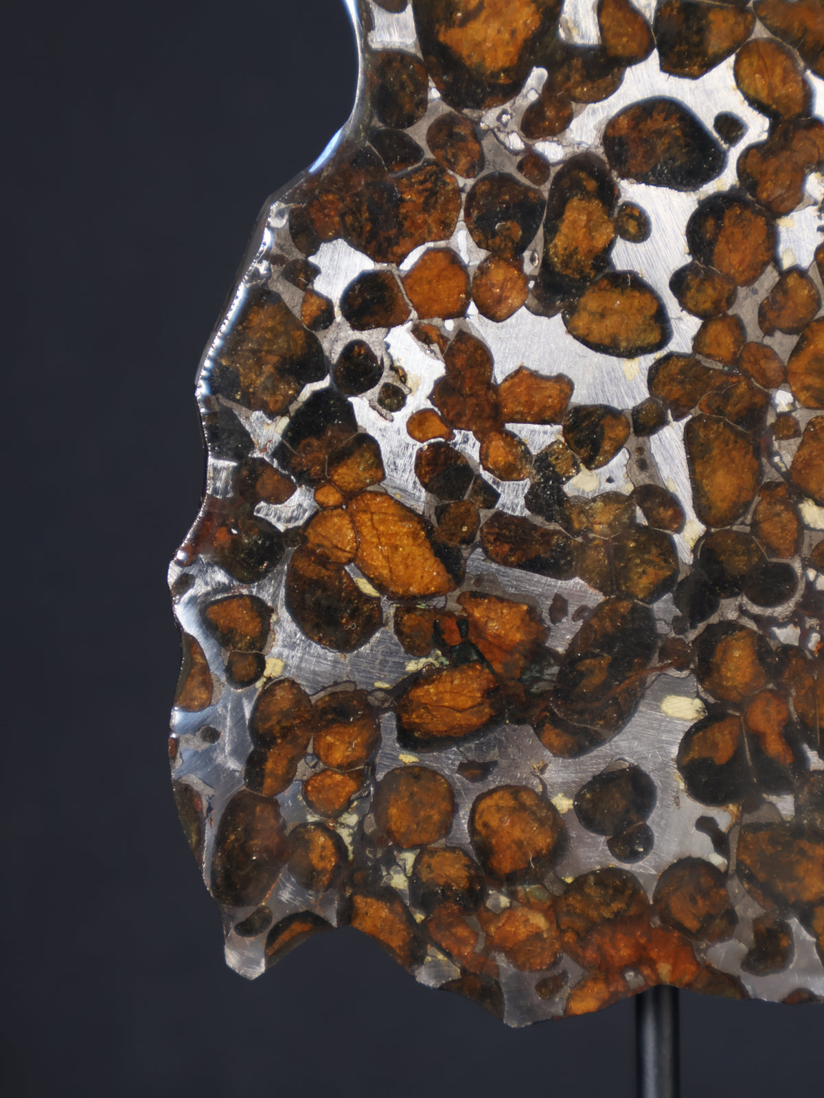 SERICHO METEORITE, KENYA. 44,9 GRAMS SLICE