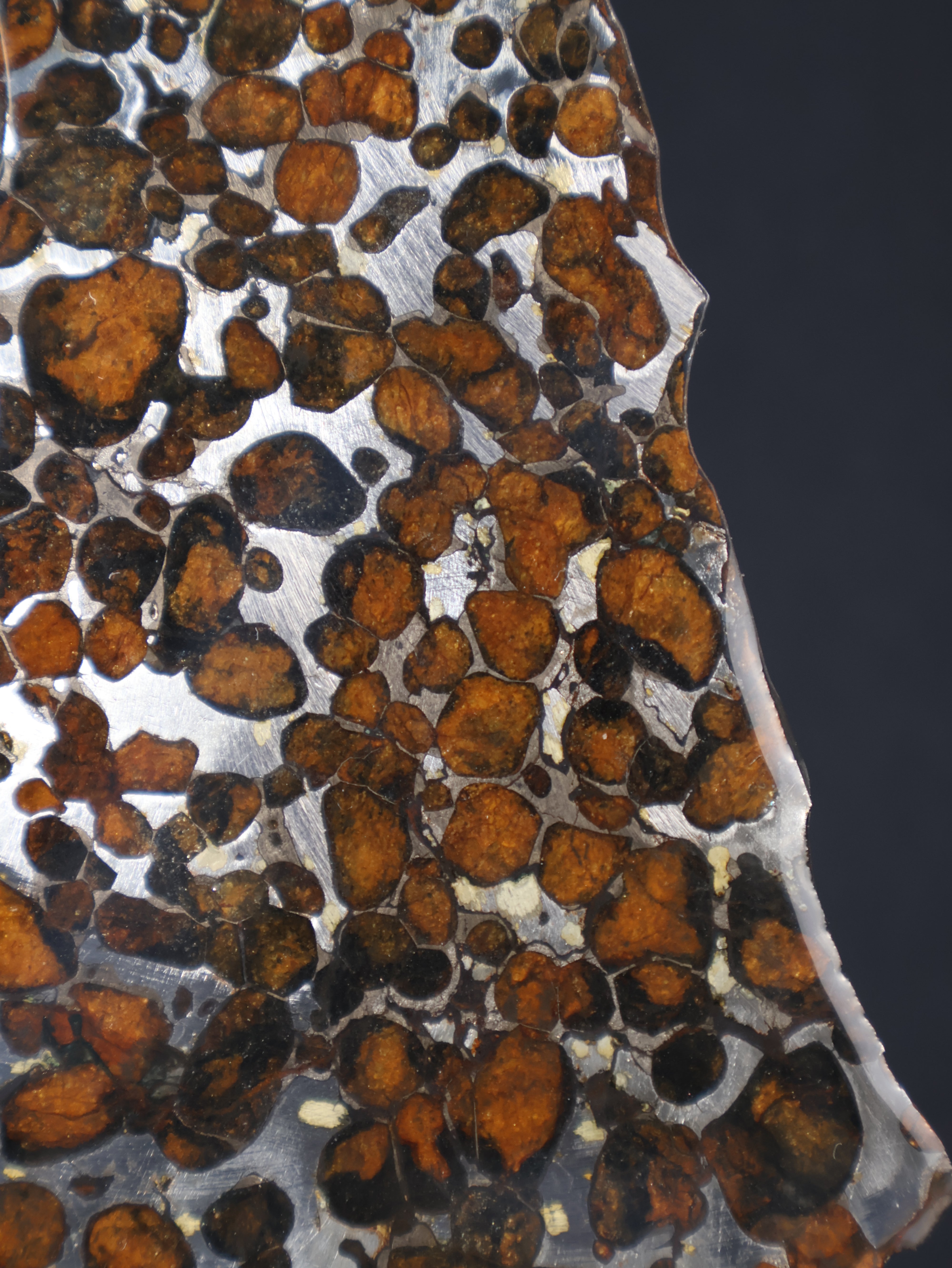 SERICHO METEORITE, KENYA. 44,9 GRAMS SLICE