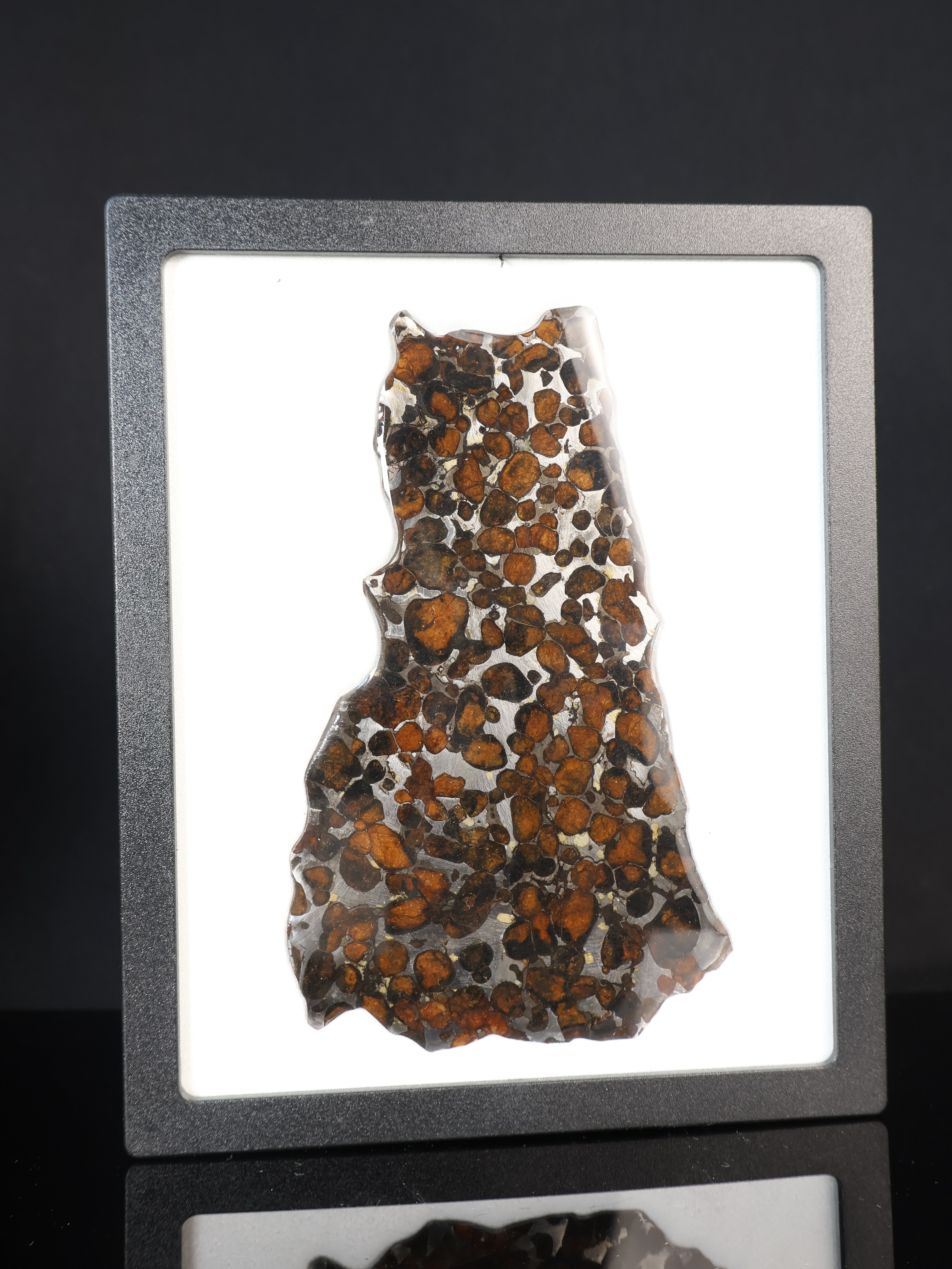 SERICHO METEORITE, KENYA. 44,9 GRAMS SLICE