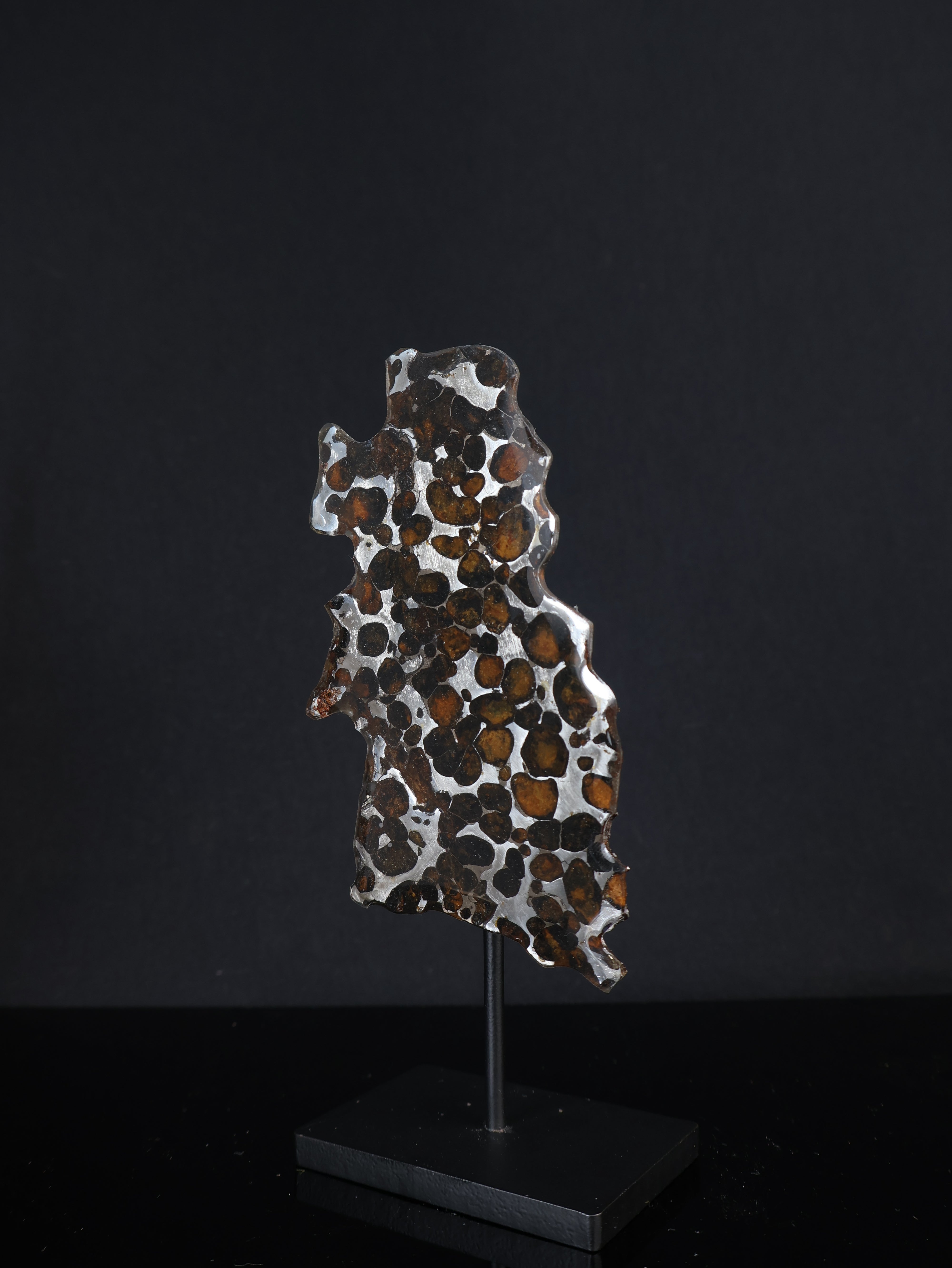SERICHO METEORITE, KENYA. 27,6 GRAMS SLICE Sale price