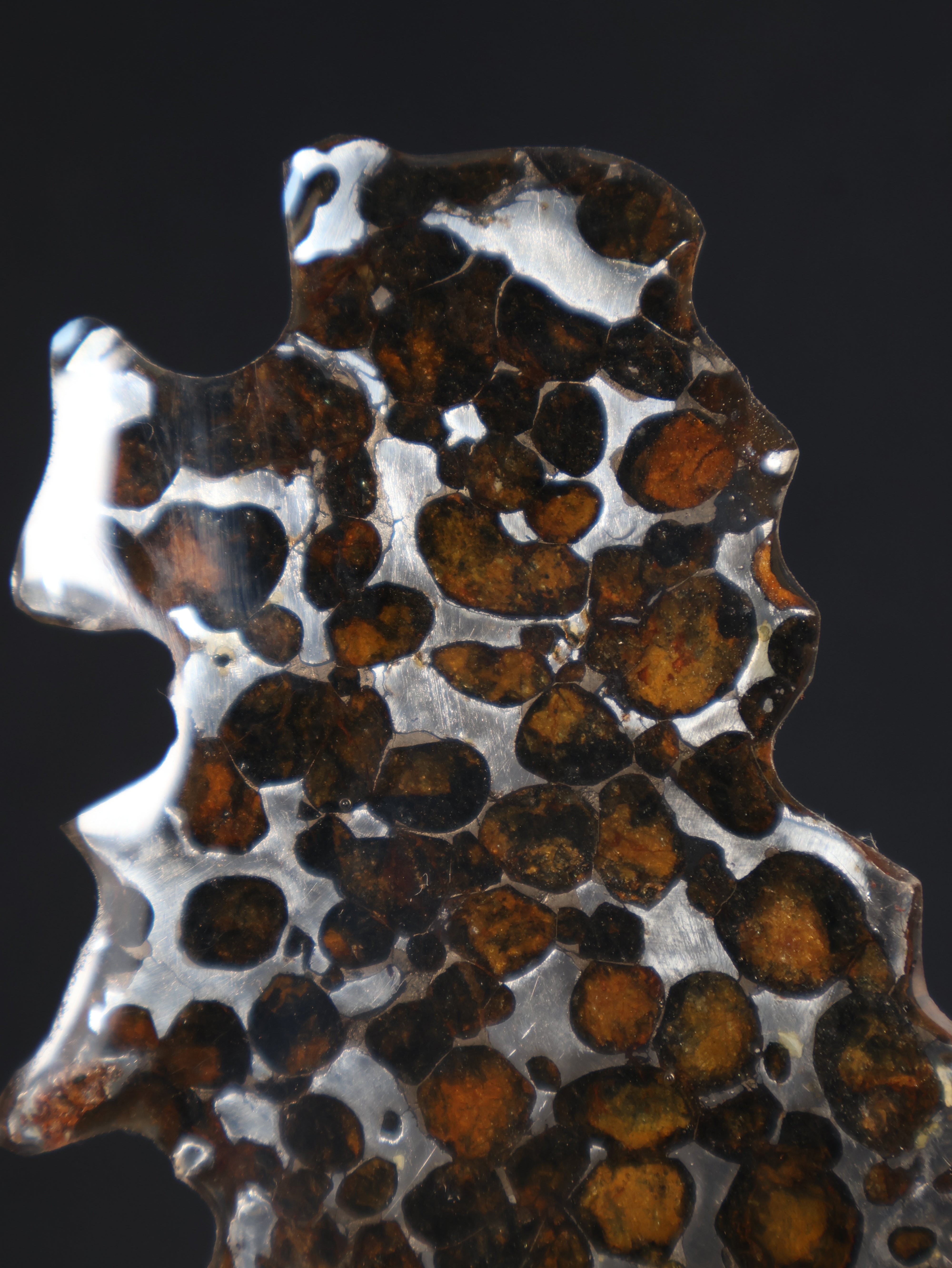 SERICHO METEORITE, KENYA. 27,6 GRAMS SLICE Sale price