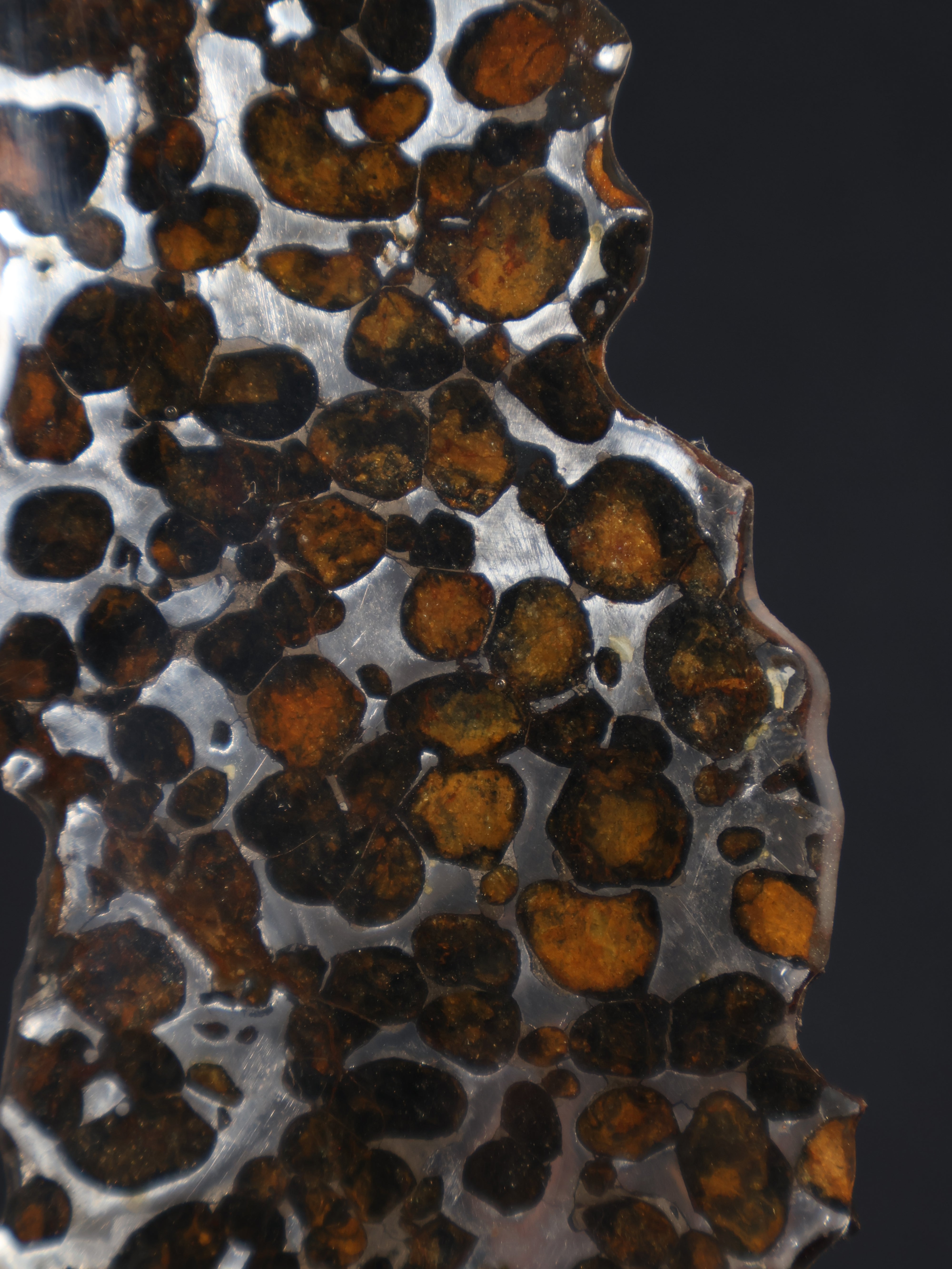 SERICHO METEORITE, KENYA. 27,6 GRAMS SLICE Sale price