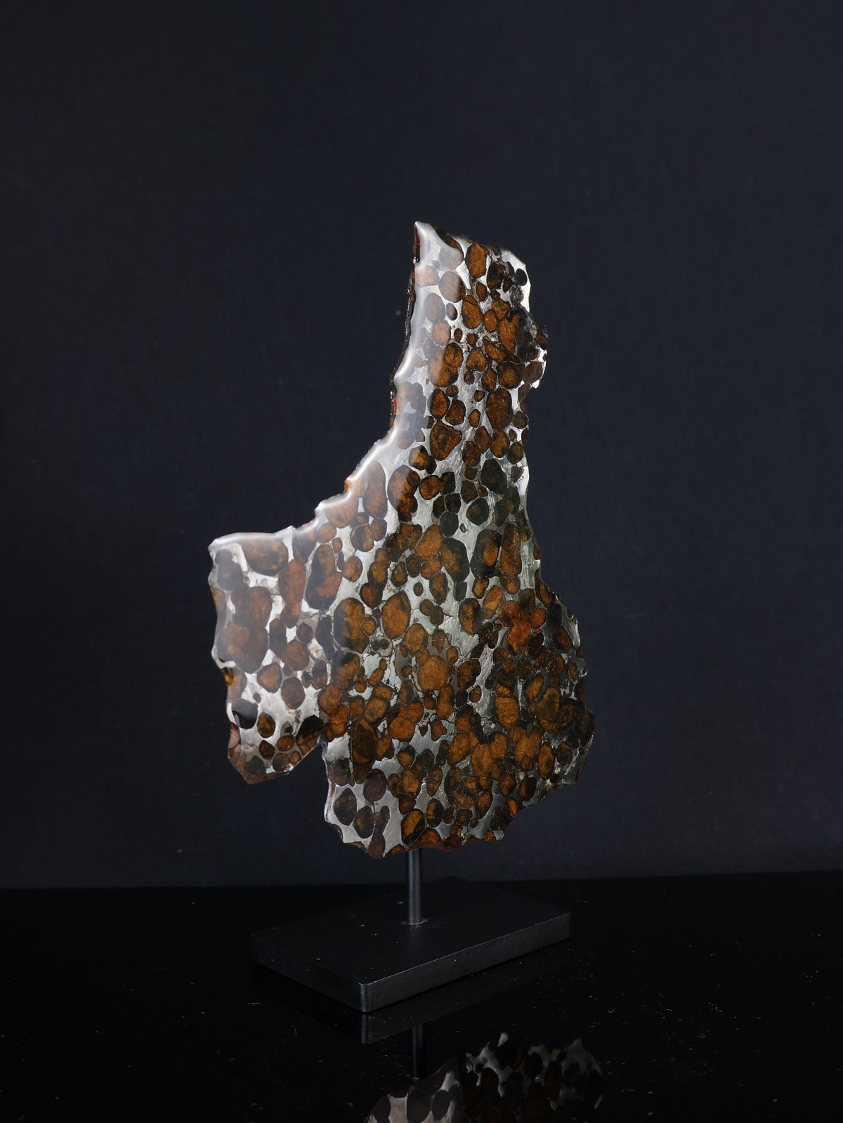 SERICHO METEORITE, KENYA. 45,6 GRAMS SLICE