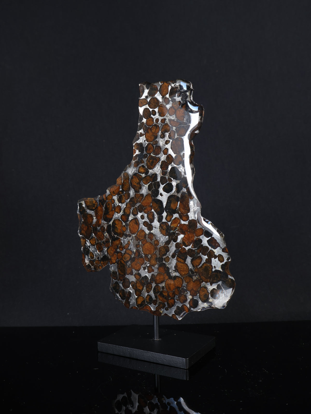 SERICHO METEORITE, KENYA. 45,6 GRAMS SLICE