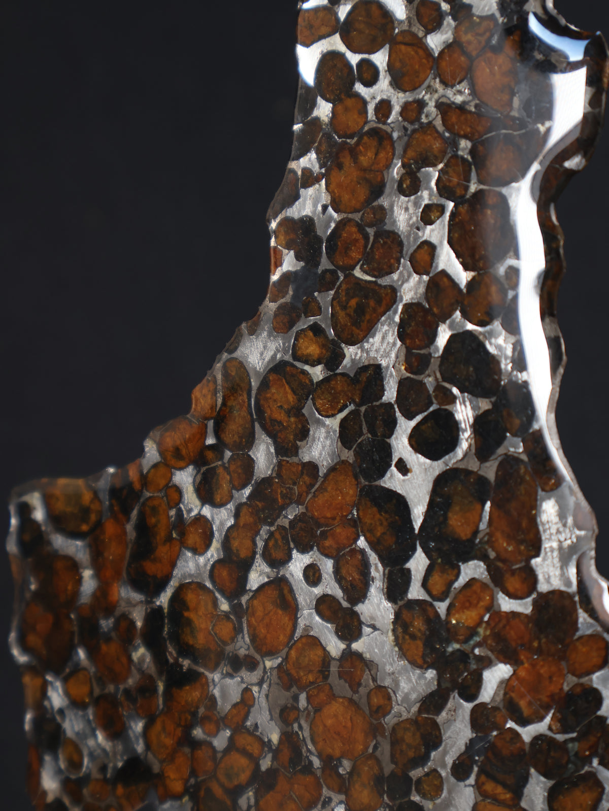 SERICHO METEORITE, KENYA. 45,6 GRAMS SLICE
