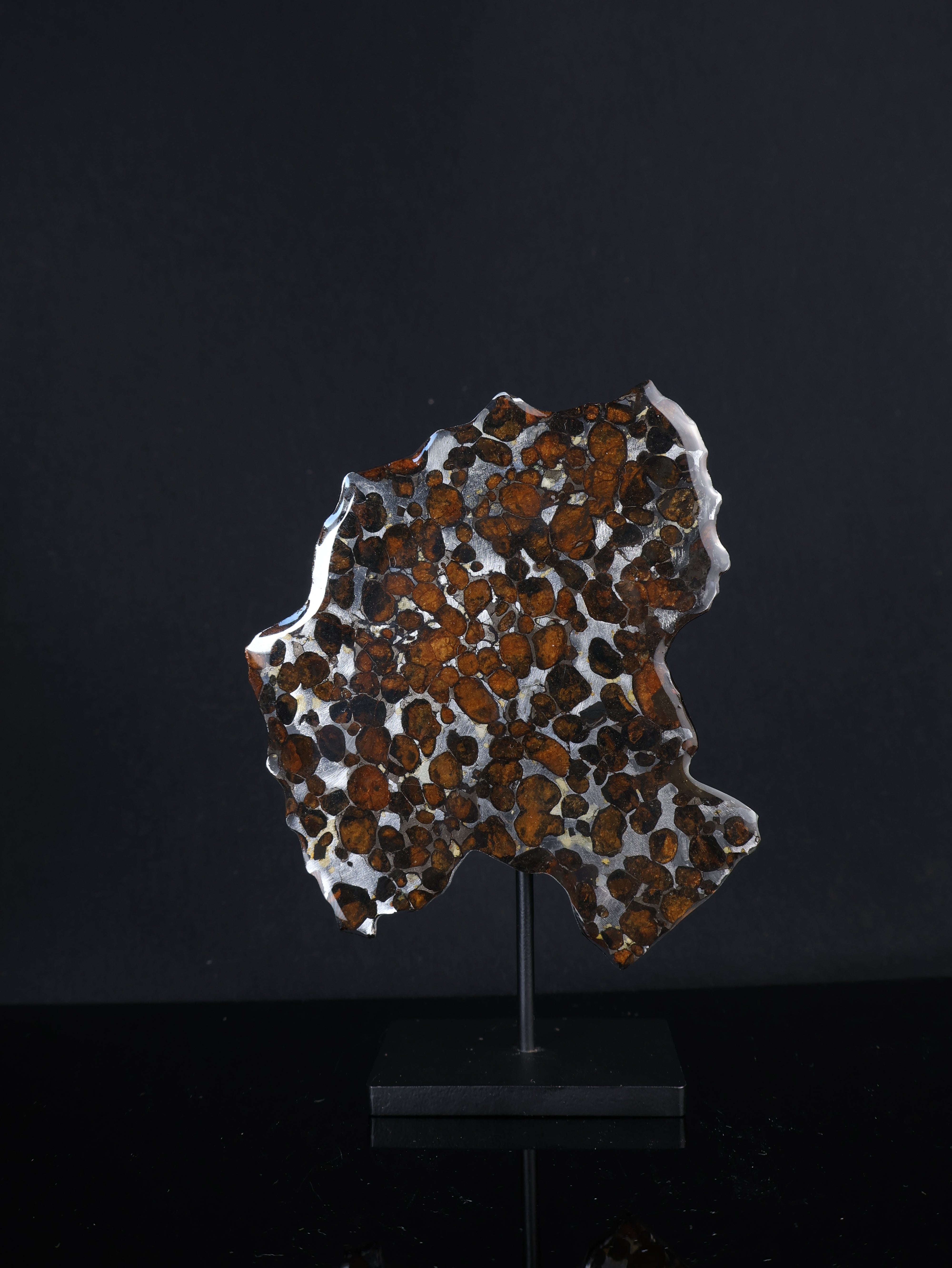 SERICHO METEORITE, KENYA. 53,5 GRAMS SLICE
